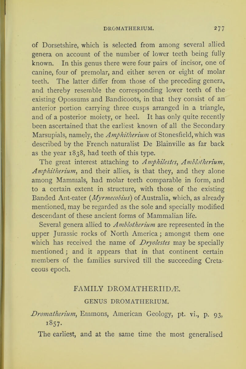of Dorsetshire, which is selected from among several allied genera on account of the number of lower teeth being fully known. In this genus there were four pairs of incisor, one of canine, four of premolar, and either seven or eight of molar teeth. The latter differ from those of the preceding genera, and thereby resemble the corresponding lower teeth of the existing Opossums and Bandicoots, in that they consist of an anterior portion carrying three cusps arranged in a triangle, and of a posterior moiety, or heel. It has only quite recently been ascertained that the earliest known of all the Secondary Marsupials, namely, the Amphitherium of Stonesfield, which was described by the French naturalist De Blainville as far back as the year 1838, had teeth of this type. The great interest attaching to Aviphilestcs, Amblolherium, Amphitherium, and their allies, is that they, and they alone among Mammals, had molar teeth comparable in form, and to a certain extent in structure, with those of the existing Banded Ant-eater (Myrmecobius) of Australia, which, as already mentioned, may be regarded as the sole and specially modified descendant of these ancient forms of Mammalian life. Several genera allied to Amblotherium are represented in the upper Jurassic rocks of North America ; amongst them one which has received the name of Dryolestes may be specially mentioned; and it appears that in that continent certain members of the families survived till the succeeding Creta- ceous epoch. FAMILY DROMATHERIIDdF. GENUS DROMATHERIUM. Dromatherium, Emmons, American Geology, pt. vi., p. 93, 1857. The earliest, and at the same time the most generalised