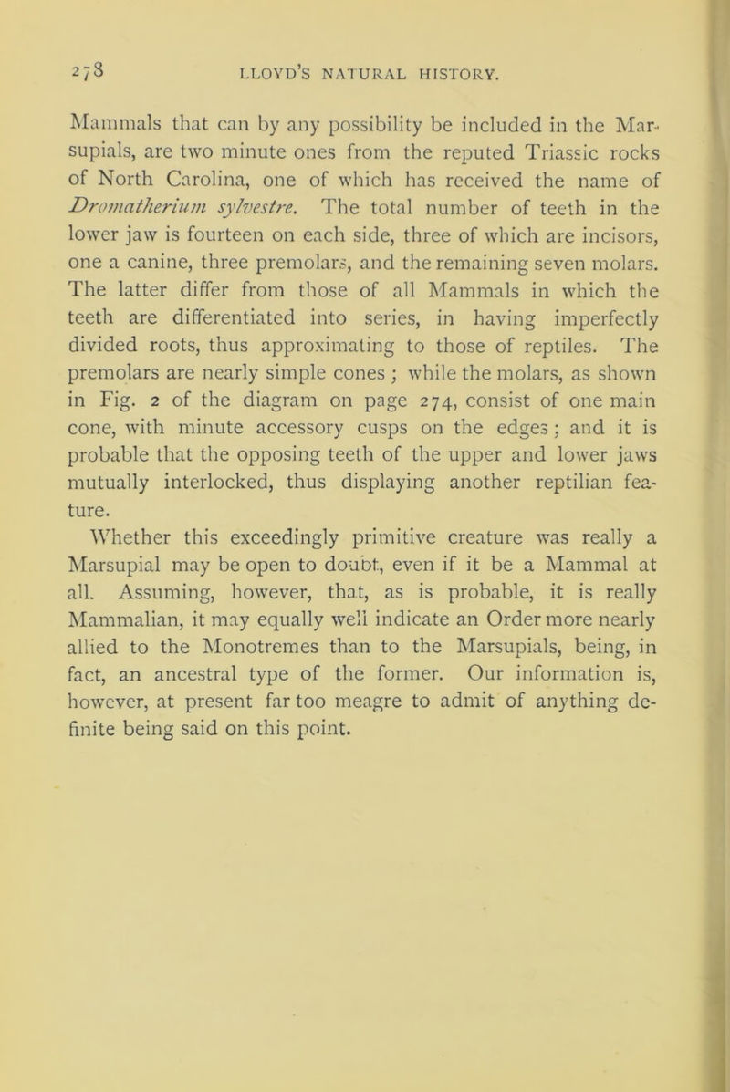 Mammals that can by any possibility be included in the Mar- supials, are two minute ones from the reputed Triassic rocks of North Carolina, one of which has received the name of Dromatherium sylvestre. The total number of teeth in the lower jaw is fourteen on each side, three of which are incisors, one a canine, three premolars, and the remaining seven molars. The latter differ from those of all Mammals in which the teeth are differentiated into series, in having imperfectly divided roots, thus approximating to those of reptiles. The premolars are nearly simple cones ; while the molars, as shown in Fig. 2 of the diagram on page 274, consist of one main cone, with minute accessory cusps on the edges; and it is probable that the opposing teeth of the upper and lower jaws mutually interlocked, thus displaying another reptilian fea- ture. Whether this exceedingly primitive creature was really a Marsupial may be open to doubt, even if it be a Mammal at all. Assuming, however, that, as is probable, it is really Mammalian, it may equally well indicate an Order more nearly allied to the Monotremes than to the Marsupials, being, in fact, an ancestral type of the former. Our information is, however, at present far too meagre to admit of anything de- finite being said on this point.