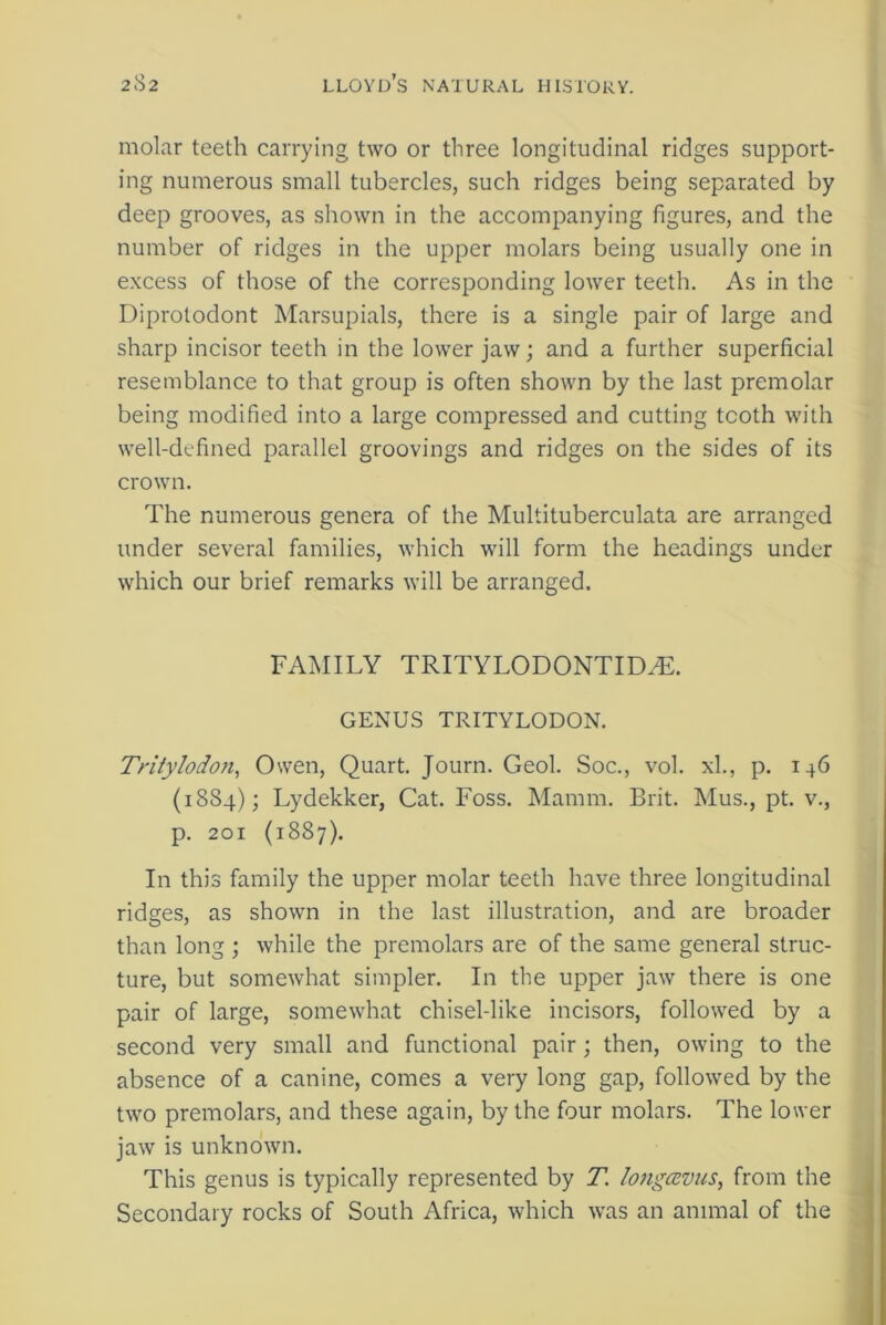 molar teeth carrying two or three longitudinal ridges support- ing numerous small tubercles, such ridges being separated by deep grooves, as shown in the accompanying figures, and the number of ridges in the upper molars being usually one in excess of those of the corresponding lower teeth. As in the Diprotodont Marsupials, there is a single pair of large and sharp incisor teeth in the lower jaw; and a further superficial resemblance to that group is often shown by the last premolar being modified into a large compressed and cutting tcoth with well-defined parallel groovings and ridges on the sides of its crown. The numerous genera of the Multituberculata are arranged under several families, which will form the headings under which our brief remarks will be arranged. FAMILY TRITYLODONTIDeE. GENUS TRITYLODON. Tritylodon, Owen, Quart. Journ. Geol. Soc., vol. xl., p. 146 (1884); Lydekker, Cat. Foss. Mamm. Brit. Mus., pt. v., p. 201 (1887). In this family the upper molar teeth have three longitudinal ridges, as shown in the last illustration, and are broader than long ; while the premolars are of the same general struc- ture, but somewhat simpler. In the upper jaw there is one pair of large, somewhat chisel-like incisors, followed by a second very small and functional pair; then, owing to the absence of a canine, comes a very long gap, followed by the two premolars, and these again, by the four molars. The lower jaw is unknown. This genus is typically represented by T. longccvus, from the Secondary rocks of South Africa, which was an animal of the