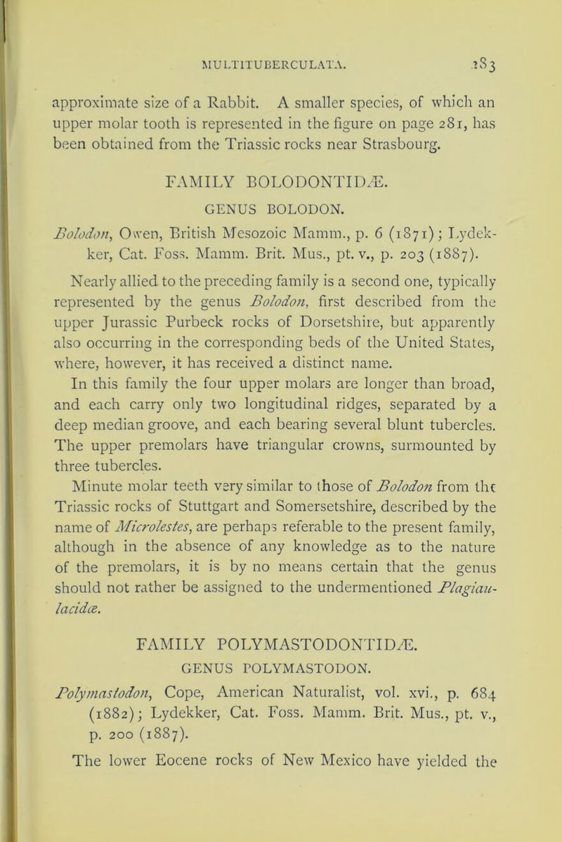 M U LT ITU BERCU LATA. ■»33 approximate size of a Rabbit. A smaller species, of which an upper molar tooth is represented in the figure on page 281, has been obtained from the Triassic rocks near Strasbourg. FAMILY BOLODONTIMh GENUS BOLODON. Bolodon, Owen, British Mesozoic Mamm., p. 6 (1871); Lydek- ker, Cat. Foss. Mamm. Brit. Mus., pt. v., p. 203 (1887). Nearly allied to the preceding family is a second one, typically represented by the genus Bolodon, first described from the upper Jurassic Purbeck rocks of Dorsetshire, but apparently also occurring in the corresponding beds of the United States, where, however, it has received a distinct name. In this family the four upper molars are longer than broad, and each carry only two longitudinal ridges, separated by a deep median groove, and each bearing several blunt tubercles. The upper premolars have triangular crowns, surmounted by three tubercles. Minute molar teeth very similar to those of Bolodon from the Triassic rocks of Stuttgart and Somersetshire, described by the name of Microlestes, are perhaps referable to the present family, although in the absence of any knowledge as to the nature of the premolars, it is by no means certain that the genus should not rather be assigned to the undermentioned Plagiau- lacidce. FAMILY POLYMASTODONTID/E. GENUS POLYMASTODON. Poly mastodon, Cope, American Naturalist, vol. xvi., p. 684 (1882); Lydekker, Cat. Foss. Mamm. Brit. Mus., pt. v., p. 200 (1887). The lower Eocene rocks of New Mexico have yielded the