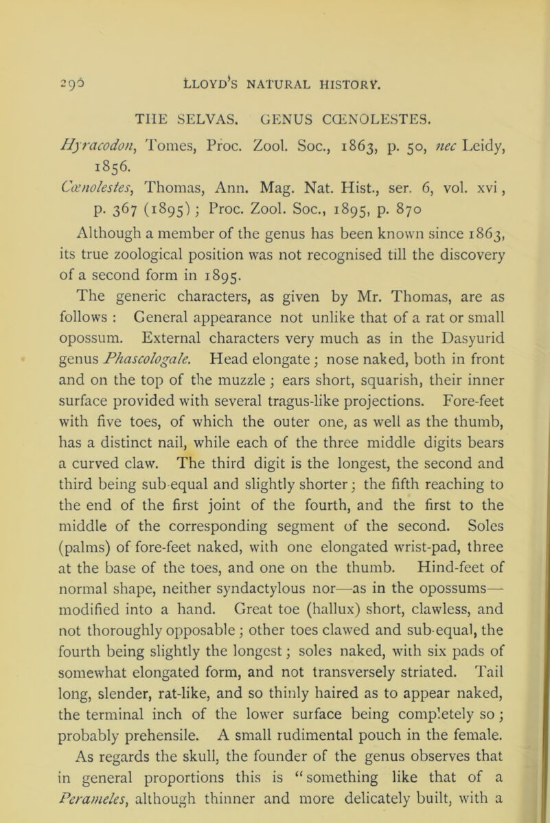 THE SELVAS. GENUS CCENOLESTES. Hyracodon, Tomes, Proc. Zool. Soc., 1863, p. 50, nec Leidy, 1856. Ccenolestes, Thomas, Ann. Mag. Nat. Hist., ser. 6, vol. xvi, p. 367 (1895); Proc. Zool. Soc., 1895, p. 870 Although a member of the genus has been known since 1863, its true zoological position was not recognised till the discovery of a second form in 1895. The generic characters, as given by Mr. Thomas, are as follows : General appearance not unlike that of a rat or small opossum. External characters very much as in the Dasyurid genus Phascologa/e. Head elongate; nose naked, both in front and on the top of the muzzle; ears short, squarish, their inner surface provided with several tragus-like projections. Fore-feet with five toes, of which the outer one, as well as the thumb, has a distinct nail, while each of the three middle digits bears a curved claw. The third digit is the longest, the second and third being sub equal and slightly shorter; the fifth reaching to the end of the first joint of the fourth, and the first to the middle of the corresponding segment of the second. Soles (palms) of fore-feet naked, with one elongated wrist-pad, three at the base of the toes, and one on the thumb. Hind-feet of normal shape, neither syndactylous nor—as in the opossums— modified into a hand. Great toe (hallux) short, clawless, and not thoroughly opposable; other toes clawed and sub-equal, the fourth being slightly the longest; soles naked, with six pads of somewhat elongated form, and not transversely striated. Tail long, slender, rat-like, and so thinly haired as to appear naked, the terminal inch of the lower surface being completely so; probably prehensile. A small rudimental pouch in the female. As regards the skull, the founder of the genus observes that in general proportions this is “ something like that of a Perameles, although thinner and more delicately built, with a