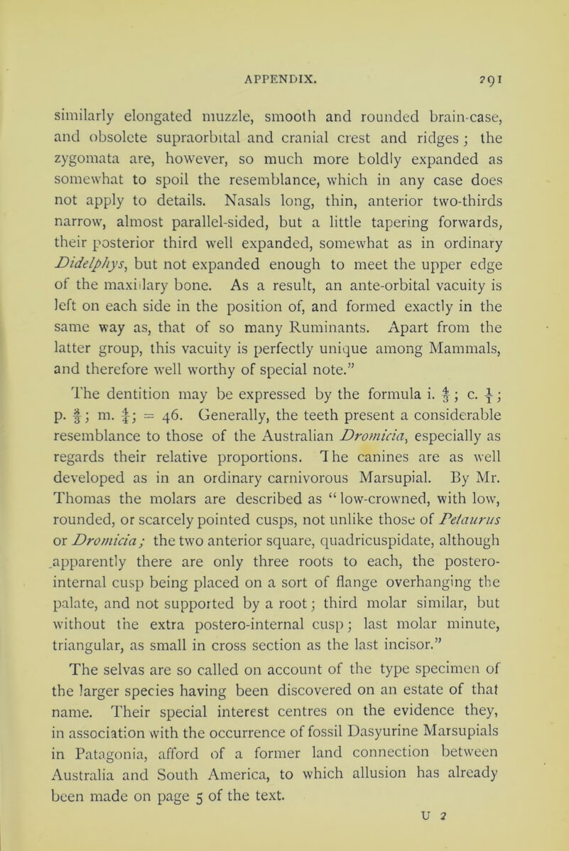 ?QI similarly elongated muzzle, smooth and rounded brain-case, and obsolete supraorbital and cranial crest and ridges; the zygomata are, however, so much more boldly expanded as somewhat to spoil the resemblance, which in any case does not apply to details. Nasals long, thin, anterior two-thirds narrow, almost parallel-sided, but a little tapering forwards, their posterior third well expanded, somewhat as in ordinary Didelphys, but not expanded enough to meet the upper edge of the maxillary bone. As a result, an ante-orbital vacuity is left on each side in the position of, and formed exactly in the same way as, that of so many Ruminants. Apart from the latter group, this vacuity is perfectly unique among Mammals, and therefore well worthy of special note.” The dentition may be expressed by the formula i. ^; c. i; p. f; m. £; = 46. Generally, the teeth present a considerable resemblance to those of the Australian Dromicia, especially as regards their relative proportions. The canines are as well developed as in an ordinary carnivorous Marsupial. By Mr. Thomas the molars are described as “ low-crowned, with low, rounded, or scarcely pointed cusps, not unlike those of Peiaurus or Dromicia; the two anterior square, quadricuspidate, although .apparently there are only three roots to each, the postero- internal cusp being placed on a sort of flange overhanging the palate, and not supported by a root; third molar similar, but without the extra postero-internal cusp; last molar minute, triangular, as small in cross section as the last incisor.” The selvas are so called on account of the type specimen of the larger species having been discovered on an estate of that name. Their special interest centres on the evidence they, in association with the occurrence of fossil Dasyurine Marsupials in Patagonia, afford of a former land connection between Australia and South America, to which allusion has already been made on page 5 of the text.