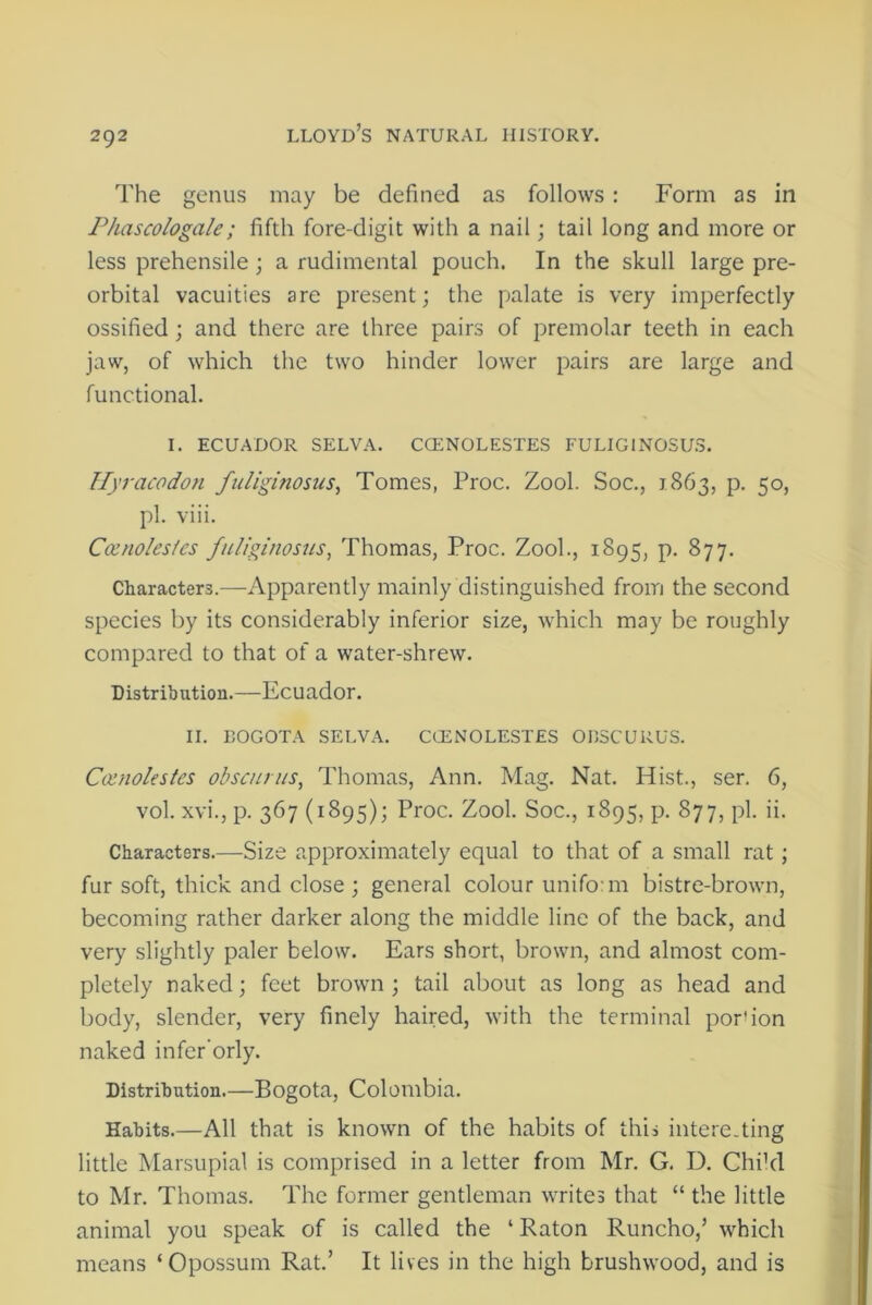 The genus may be defined as follows : Form as in Pliascologale ; fifth fore-digit with a nail; tail long and more or less prehensile ; a rudimental pouch. In the skull large pre- orbital vacuities are present; the palate is very imperfectly ossified; and there are three pairs of premolar teeth in each jaw, of which the two hinder lower pairs are large and functional. I. ECUADOR SELVA. CCENOLESTES FULIG1NOSUS. Hyracodon fuliginosus, Tomes, Proc. Zool. Soc., 1863, p. 50, pi. viii. Coznolesles fuliginosus, Thomas, Proc. Zool., 1895, p. 877. Characters.—Apparently mainly distinguished from the second species by its considerably inferior size, which may be roughly compared to that of a water-shrew. Distribution.—Ecuador. II. BOGOTA SELVA. CCENOLESTES O BSC UR US. Cccnolestes obscurus, Thomas, Ann. Mag. Nat. Hist., ser. 6, vol. xvi., p. 367 (1895); Proc. Zool. Soc., 1895, p. 877, pi. ii. Characters.—Size approximately equal to that of a small rat; fur soft, thick and close ; general colour unifo:m bistre-brown, becoming rather darker along the middle line of the back, and very slightly paler below. Ears short, brown, and almost com- pletely naked; feet brown ; tail about as long as head and body, slender, very finely haired, with the terminal portion naked infer’orly. Distribution.—Bogota, Colombia. Habits.—All that is known of the habits of this intere.ting little Marsupial is comprised in a letter from Mr. G. D. Child to Mr. Thomas. The former gentleman writes that “ the little animal you speak of is called the 1 Raton Runcho,’ which means ‘Opossum Rat.’ It lives in the high brushwood, and is