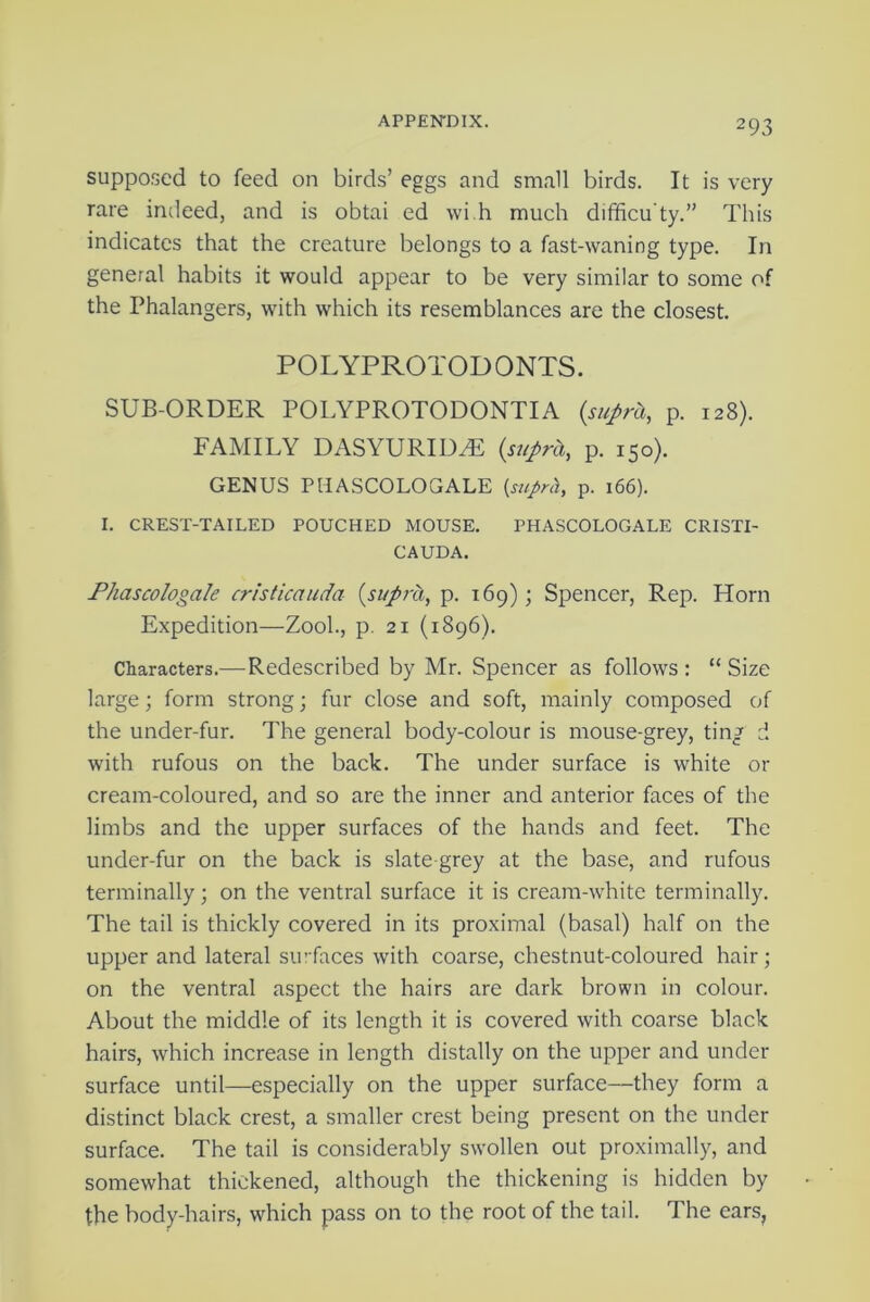 supposed to feed on birds’ eggs and small birds. It is very rare indeed, and is obtai ed wi.h much difficu'ty.” This indicates that the creature belongs to a fast-waning type. In general habits it would appear to be very similar to some of the Phalangers, with which its resemblances are the closest. POLYPROTODONTS. SUB-ORDER POLYPROTODONTIA {suprh, p. 128). FAMILY DASYURIDZE (supret, p. 150). GENUS PHASCOLOGALE (mprh, p. 166). I. CREST-TAILED POUCHED MOUSE. PHASCOLOGALE CRISTI- CAUDA. Phascologale cristicauda {supra, p. 169); Spencer, Rep. Horn Expedition—Zool., p. 21 (1896). Characters.—Redescribed by Mr. Spencer as follows : “ Size large; form strong; fur close and soft, mainly composed of the under-fur. The general body-colour is mouse-grey, ting d with rufous on the back. The under surface is white or cream-coloured, and so are the inner and anterior faces of the limbs and the upper surfaces of the hands and feet. The under-fur on the back is slate grey at the base, and rufous terminally; on the ventral surface it is cream-white terminally. The tail is thickly covered in its proximal (basal) half on the upper and lateral surfaces with coarse, chestnut-coloured hair; on the ventral aspect the hairs are dark brown in colour. About the middle of its length it is covered with coarse black hairs, which increase in length distally on the upper and under surface until—especially on the upper surface—they form a distinct black crest, a smaller crest being present on the under surface. The tail is considerably swollen out proximally, and somewhat thickened, although the thickening is hidden by the body-hairs, which pass on to the root of the tail. The ears,