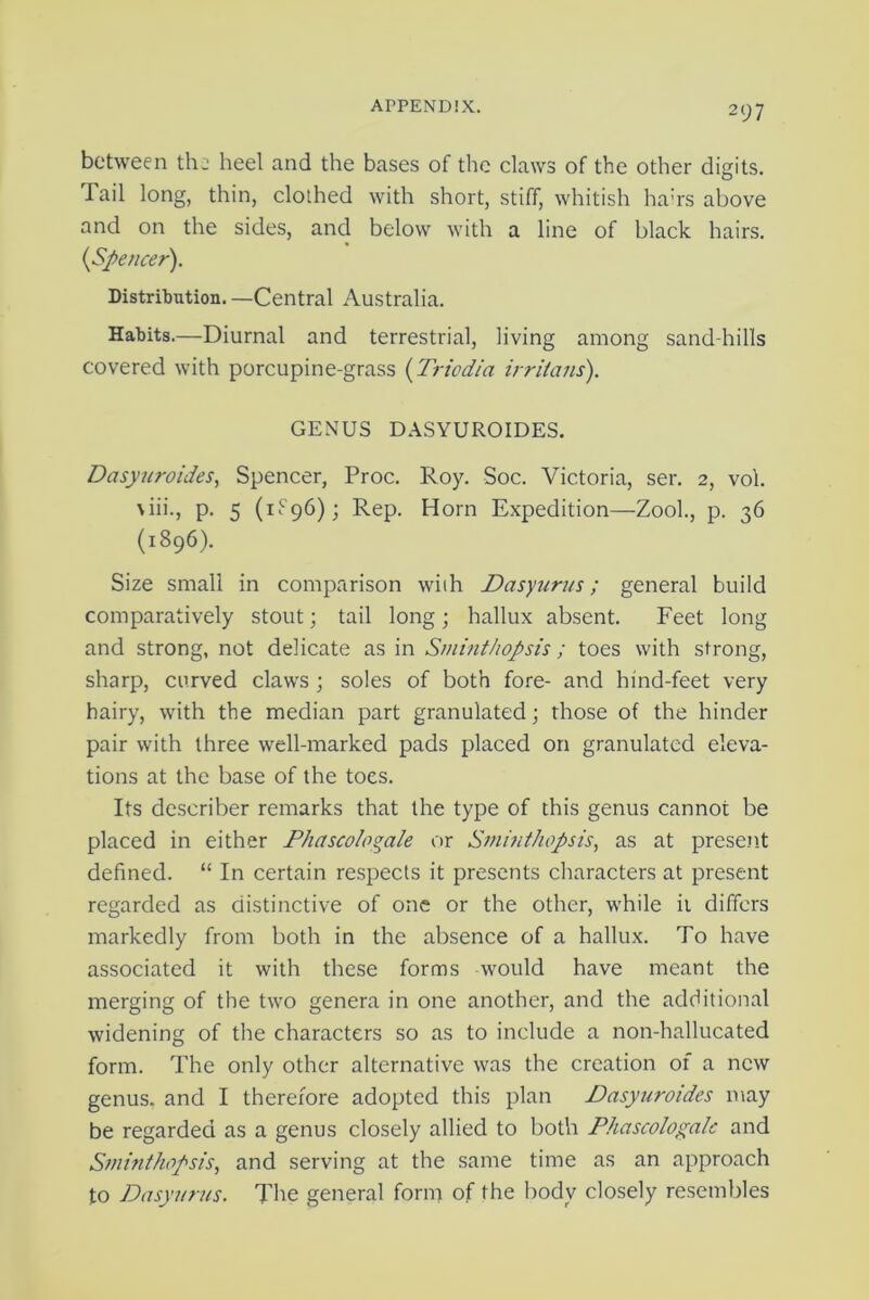 between thu heel and the bases of the claws of the other digits. Tail long, thin, clothed with short, stiff, whitish ha’rs above and on the sides, and below with a line of black hairs. {Spencer). Distribution. —Central Australia. Habits.—Diurnal and terrestrial, living among sand-hills covered with porcupine-grass (Triedia irriians). GENUS DASYUROIDES. Dasyuroides, Spencer, Proc. Roy. Soc. Victoria, ser. 2, vol. \iii., p. 5 (1896); Rep. Horn Expedition—Zool., p. 36 (1896). Size small in comparison with Dasyurus; general build comparatively stout; tail long; hallux absent. Feet long and strong, not delicate as in Smint/iopsis; toes with strong, sharp, curved claws ; soles of both fore- and hind-feet very hairy, with the median part granulated; those of the hinder pair with three well-marked pads placed on granulated eleva- tions at the base of the toes. Its describer remarks that the type of this genus cannot be placed in either Phascologale or Sminthopsis, as at present defined. “ In certain respects it presents characters at present regarded as distinctive of one or the other, while it differs markedly from both in the absence of a hallux. To have associated it with these forms would have meant the merging of the two genera in one another, and the additional widening of the characters so as to include a non-hallucated form. The only other alternative was the creation of a new genus, and I therefore adopted this plan Dasyuroides may be regarded as a genus closely allied to both Phascologalc and Sminthopsis, and serving at the same time as an approach to Dasyurus. The general form of the body closely resembles