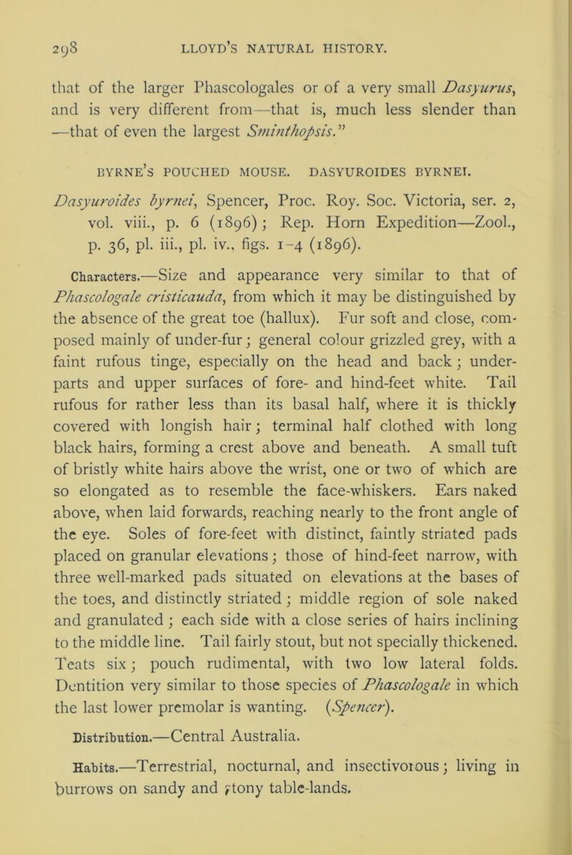 that of the larger Phascologales or of a very small Dasyurus, and is very different from—that is, much less slender than —that of even the largest Sminthopsis. ” byrne’s pouched mouse, dasyuroides byrnel Dasyuroides byrnei, Spencer, Proc. Roy. Soc. Victoria, ser. 2, vol. viii., p. 6 (1896); Rep. Horn Expedition—Zool., p. 36, pi. iii., pi. iv.. figs. 1-4 (1896). Characters.—Size and appearance very similar to that of Phascologale cristicauda, from which it may be distinguished by the absence of the great toe (hallux). Fur soft and close, com- posed mainly of under-fur; general colour grizzled grey, with a faint rufous tinge, especially on the head and back ; under- parts and upper surfaces of fore- and hind-feet white. Tail rufous for rather less than its basal half, where it is thickly covered with longish hair; terminal half clothed with long black hairs, forming a crest above and beneath. A small tuft of bristly white hairs above the wrist, one or two of which are so elongated as to resemble the face-whiskers. Ears naked above, -when laid forwards, reaching nearly to the front angle of the eye. Soles of fore-feet with distinct, faintly striated pads placed on granular elevations; those of hind-feet narrow, with three well-marked pads situated on elevations at the bases of the toes, and distinctly striated ; middle region of sole naked and granulated ; each side with a close series of hairs inclining to the middle line. Tail fairly stout, but not specially thickened. Teats six; pouch rudimental, with two low lateral folds. Dentition very similar to those species of Phascologale in which the last lower premolar is wanting. (Spencer). Distribution.—Central Australia. Habits.—Terrestrial, nocturnal, and insectivorous; living in burrows on sandy and ytony table-lands.