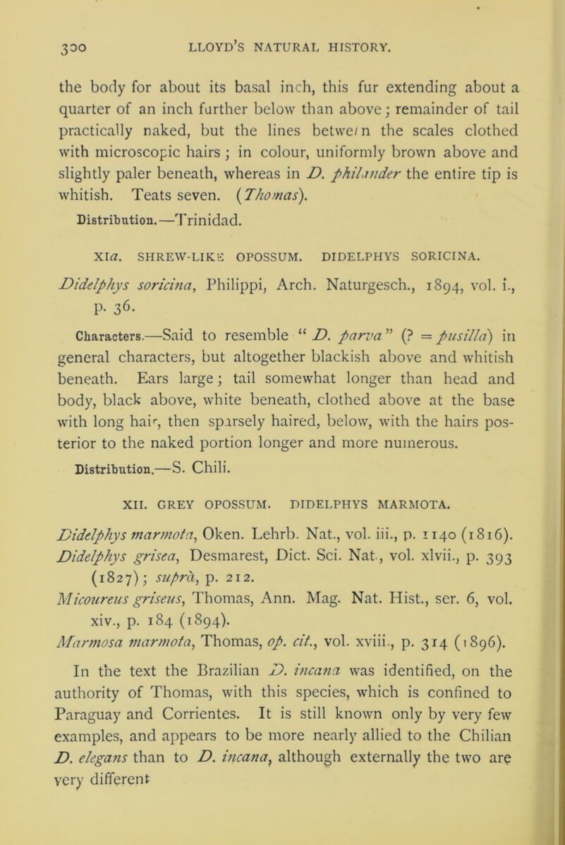 the body for about its basal inch, this fur extending about a quarter of an inch further below than above; remainder of tail practically naked, but the lines betwe/n the scales clothed with microscopic hairs ; in colour, uniformly brown above and slightly paler beneath, whereas in D. philander the entire tip is whitish. Teats seven. (Thomas). Distribution.—Trinidad. XI<7. SHREW-LIKE OPOSSUM. DIDELPHYS SORICINA. Didelphys soricitia, Philippi, Arch. Naturgesch., 1894, vol. i., p. 36. Characters.—Said to resemble “ D. parva ” (? = pusilld) in general characters, but altogether blackish above and whitish beneath. Ears large; tail somewhat longer than head and body, black above, white beneath, clothed above at the base with long haiq then sparsely haired, below, with the hairs pos- terior to the naked portion longer and more numerous. Distribution.—S. Chili. XII. GREY OPOSSUM. DIDELPHYS MARMOTA. Didelphys marmota, Oken. Lehrb. Nat., vol. iii., p. 1140 (1816). Didelphys grisea, Desmarest, Diet. Sci. Nat-, vol. xlvii., p. 393 (1827); supra, p. 212. Micoureus griseus, Thomas, Ann. Mag. Nat. Hist., ser. 6, vol. xiv., p. 184 (1894). Marmosa marmota, Thomas, op. cif., vol. xviii., p. 3x4 (1896). In the text the Brazilian D. inca?ia was identified, on the authority of Thomas, with this species, which is confined to Paraguay and Corrientes. It is still known only by very few examples, and appears to be more nearly allied to the Chilian D. elegans than to D. incana} although externally the two are very different