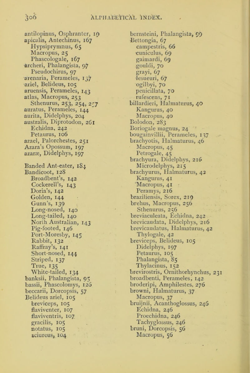 antilopinus, Osphranter, in apicalis, Antechinus, 167 Hypsiprymnus, 65 Macropus, 25 Phascologale, 167 archeri, Phalangista, 97 Pseudochirus, 97 arenaria, Perameles, 137 ariel, Belideus, 105 aruensis, Perameles, 143 atlas, Macropus, 253 Sthenurus, 253, 254, 257 auratus, Perameles, 144 aurita, Didelphys, 204 australis, Diprotodon, 261 Echidna, 242 Petaurus, 106 azael, Palorchestes, 251 Azara’s Opossum, 197 azarre, Didelphys, 197 Banded Ant-eater, 1S4 Bandicoot, 128 Broadbent’s, 142 Cockerell’s, 143 Doria’s, 142 Golden, 144 Gunn’s, 139 Long-nosed, 140 Long-tailed, 140 North Australian, 143 Pig-footed, 146 Port-Moresby, 145 Rabbit, 132 Rafifray’s, 141 Short-nosed, 144 Striped, 137 True, 135 White-tailed, 134 banksii, Phalangista, 95 bassii, Phascolomys, 126 beccarii, Dorcopsis, 57 Belideus ariel, 105 breviceps, 105 flaviventer, 107 flaviventris, 107 gracilis, 105 notatus, X05 sciureus, 104 bernsteini, Phalangista, 99 Bettongia, 67 campestris, 66 'cuniculus, 69 gaintardi, 69 gouldi, 70 grayi, 67 •lesueuri, 67 ogilbyi, 70 penicillata, 70 rufescens, 71 billardieri, Halmaturus, 40 Kangurus, 40 Macropus, 40 Bolodon, 283 Boriogale magnus, 24 bougainvillii, Perameles, 137 brachyotis, Halmaturus, 46 Macropus, 45 Petrogale, 45 brachyura, Didelphys, 216 Microdelphys, 215 brachyurus, Halmaturus, 43 Kangurus, 41 Macropus, 41 Peramys, 216 braziliensis, Sorex, 219 brehus, Macropus, 256 Sthenurus, 256 breviaculeata, Echidna, 242 brevicaudata, Didelphys, 216 brevicaudatus, Halmaturus, 42 Thylogale, 42 breviceps, Belideus, 105 Didelphys, 197 Petaurus, 105 Phalangista, 85 Thylacinus, 152 brevirostris, Ornithorhynchus, 231 broadbenti, Perameles, 142 broderipi, Amphilestes, 276 browni, Halmaturus, 37 Macropus, 37 bruijnii, Acanthoglossus, 246 Echidna, 246 Proechidna, 246 Tachyglossus, 246 bruni, Dorcopsis, 56 Macropus, 56