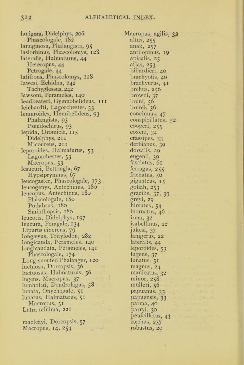 lanigera, Didelphys, 206 Macropus, agilis, 32 Fhascologale, 182 altus, 255 lanuginosa, Phalangista, 95 anak, 257 lasiorliinus, Phascolomys, 12S antilopinus, 19 lateralis, Halmaturus, 44 apicalis, 25 Ileteropus, 44 atlas, 253 Petrogale, 44 billardieri, 40 latifrons, Phascolomys, 128 bracliyotis, 46 lawesi, Echidna, 242 brachyurus, Tachyglossus, 242 brehus. 256 lawsoni, Perameles, 140 browni, 37 leadbeateri, Gymnobelideus, in bruni, 56 leichardti, Lagorchestes, 53 brunii, 36 lemuroides, Hemibelideus, 93 concinnus, 47 Phalangista, 93 conspicillatus, 52 Pseudochirus, 93 cooperi, 255 lepida, Dromicia, 115 coxeni, 34 Didelphys, 211 crassipes, 33 Micoureus, 211 derbianus, 39 leporoides, Ilalmaturus, 53 dorsalis, 29 Lagorchestes, 53 eugenii, 39 fasciatus, 61 Macropus, 53 lesueuri, Bettongia, 67 ferragus, 255 fraenatus, 50 Hypsiprymnus, 67 leucogaster, Phascologale, 173 giganteus, 15 leucogenys, Antechinus, 180 goliah, 253 leucopus, Antechinus, 180 gracilis, 37, 39 Phascologale, 180 greyi, 29 Podabrus, 180 hirsutus, 54 Sminthopsis, 180 inornatus, 46 leucotis, Didelphys, 197 irrna, 32 isabellinus, 22 leucura, Peragale, 134 Lipurus cinereus, 79 jukesi, 37 longsevus, Tritylodon, 282 lanigerus, 22 longicauda, Perameles, 140 lateralis, 44 longicaudata, Perameles, 141 leporoides, 53 Phascologale, 174 lugens, 37 Long-snouted Phalanger, 120 lunatus. 51 luctuosa, Dorcopsis, 56 magnus, 24 luctuosus, Halmaturus, 56 manicatus, 32 lugens. Macropus, 37 minor, 258 mulleri, 56 lumholtzi, Dcndrolagus, 58 lunata, Onychogale, 51 papuanus, 33 lunatus, Halmaturus, 51 papuensis, 33 Macropus, 51 parma, 40 Lutra minima, 221 parryi, 30 penicillatus, 43 macleayi, Dorcopsis, 57 rsechus, 257 Macropus, 14, 254 robustus, 20