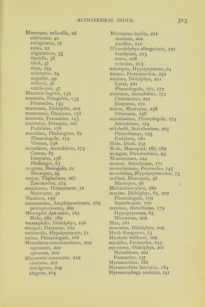 Macropus, ruficollis, 26 rufiventer, 40 rufogriseus, 27 rufus, 22 stigmaticus, 35 thetidis, 38 tibol, 37 titan, 254 ualabatus, 24 unguifer, 49 vvilcoxi, 36 xanthopus, 47 Macrotis lagotis, 132 macrotis, Peragalea, 133 Perameles, 133 macroura, Didelphis, 202 macrourus, Dasyurus, 15S macrura, Perameles, 143 macrurus, Petaurus, 101 Podabrus, 178 maculata, Phalangista, 82 Phascologale, 174 Viverra, 158 maculatus, Antechinus, 174 Cuscus, 83 Dasyurus, 158 Phalanger, 83 magnus, Boriogale, 24 Macropus, 24 major, Thylacinus, 267 Triconodon, 274 manicatus, Iialmaturus, 32 Macropus, 32 Man icon, 199 manzaniana, Amphiproviverra, 269 protoproviverra, 269 Marsupial Ant-eater, 182 Mole, 187, 189 marsupialis, Didelphys, 196 maugei, Dasyurus, 162 melanotis, Hypsiprymnus, 71 melas, Phascologale, 168 Metachirus crassicaudatus, 202 myosurus, 201 opossum, 200 Micoureus canescens, 210 cinereus, 207 dorsigerus, 209 elegans, 214 Micoureus lepida, 211 murinus, 209 pusillus, 211 Microdelphys alboguttata, 221 brachyura, 215 sorex, 218 velutina, 213 micropus, Hypsiprymnus, 64 mimas, Protemnodon, 256 minima, Didelphys, 221 Lutra, 221 Phascologale, 171, 172 minimus, Antechinus, 172 Chironectes, 221 Dasyurus, 171 minor, Macropus, 258 Sthenurus, 258 minutissima, Phascologale, 174 Antechinus, 174 mitchelli, Nototherium, 263 Phascolomys, 125 Podabrus, 180 Mole, Duck, 232 Mole, Marsupial, 187, 189 mongan, Pseudochirus, 93 Monotremes, 224 moorei, Antechinus, 171 moresbyensis, Perameles, 145 moschatus, Ilypsiprymnodon. 73 mtilleri, Dorcopsis, 56 Macropus, 56 Multituberculata, 280 murina, Didelphys, 65, 209 Phascologale, 179 Sminthopsis, 179 murinus, Antechinus, 179 Hypsiprymnus, 65 Micoureus, 209 Mus, 181 musculus, Didelphys, 209 Musk-Kangaroo, 73 Myoictis wallacei, 169 myoides, Perameles, 143 myosurus, Didelphys, 201 Metachirus, 201 Perameles, 137 Myrmecobius, 182 Myrmecobius fasciatus, 184 Myrmecophaga aculeata, 241