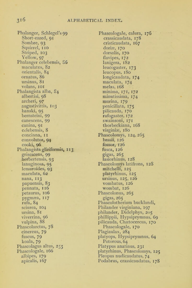 Phalanger, Schlegel’s 99 Short-eared, 91 Sombre, 93 Squirrel, no Striped, 103 Yellow, 97 Phalanger celebensis, 86 maculatus, 82 orientalis, 84 ornatus, 86 ursinus, 81 volans, 101 Phalangista alba, 84 albertisi, 98 archeri, 97 augustivittis, 103 banski, 95 bernsteini, 99 canescens, 99 canina, 91 celebensis, 8 concinna, 11 convolutor, 94 cooki, 96 rhalangista gliriformis, 113 grisescens, 99 herbertensis, 93 lanuginosa, 95 lemuroides, 93 maculata, 62 nana, 113 papuensis, 83 pennata, 116 petaurus, 106 pygmoea, 117 rufa, 84 sciurea, 104 ursina, 81 viverrina, 96 vulpina, 88 Phascolarctus, 7S cinereus, 79 fuscus, 79 koala, 79 Phascolagus altus, 255 Phascologale, 166 albipes, 179 apicalis, 167 Phascologale, calura, 176 crassicaudata, 178 cristicaudata, 167 dorim, 170 dorsalis, 170 llavipes, 172 lanigera, 182 leucogaster, 173 leucopus, 180 longicaudata, 174 maculata, 174 melas. 168 minima, 171, 172 minutissima, 174 murina, 179 penicillata, 175 pilicauda, 170 rufogaster, 172 swainsoni, 171 thorbeckiana, 168 virginise, 180 Phascolomys, 124,265 bassii, 126 fossor, 126 fusca, 126 gigas, 265 lasiorhinus, 128 Phascolomys latifrons, 12S mitchelli, 125 platyrhinus, 125 ursinus, 125, 126 vombatus, 126 wombat, 126 Phascolonus, 265 gigas, 265 _ Phascolotherium bucklandi, Philander virginiana, 197 philander, Didelphys, 205 phillippii, Hypsiprymnus, 69 pilicauda, Chmtocercus, 170 Phascologale, 170 Plagiaulax, 284 platyops, Hypsiprymnus, 64 Potorous, 64 Platypus anatinus, 231 platyrhinus, Phascolomys, 125 Pleopus nudicaudatus, 74 Podabrus, crassicaudatus, 178