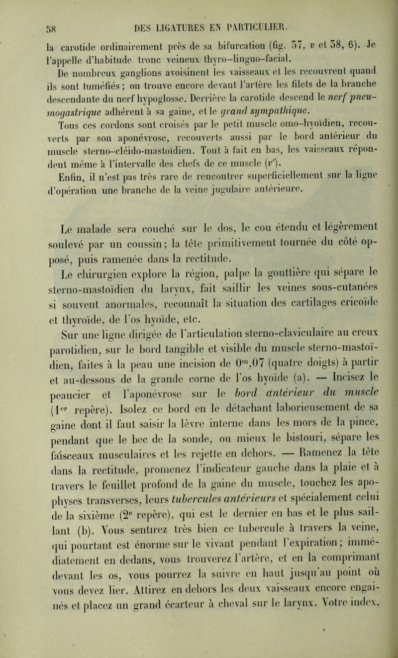 la carotide ordinairement près de sa bifurcation (fig. 57, et 58, 6). Je l’appelle d’habitude tronc veineux thyro-lingno-facial. De nombreux ganglions avoisinent les vaisseaux et les recouvrent quand ils sont tuméfiés ; on trouve encore devant l’artère les filets de la branche descendante du nerf hypoglosse. Derrière la carotide descend le nerf pneu- mocfastrique adhérent à sa gaine, et le grand sympathique. Tous ces cordons sont croisés par le petit muscle omo-hyoïdien, recou- verts par son aponévrose, recouverts aussi par le bord antérieur du muscle sterno-cléido-mastoïdien. Tout à fait en bas, les vaisseaux répon- dent même à l’intervalle des chefs de ce muscle [v'). Enfin, il n’est pas très rare de rencontrer superficiellement sur la ligne d’opération une branche de la veine jugulaire antérieure. Le malade sera couché sur le dos, le cou étendu et légèrement soulevé par un coussin; la tête primitivement tournée du côté op- posé, puis ramenée dans la rectitude. Le chirurgien explore la région, palpe la gouttière qui sépare le sterno-mastoïdien du larynx, fait saillir les veines sous-cutanées si souvent anormales, reconnaît la situation des cartilages cricoide et thyroïde, de Los hyoïde, etc. Sur une ligne dirigée de rarticulation sterno-claviculaire au creux parotidien, sur le bord tangible et visible du muscle sterno-mastoi- dien, faites à la peau une incision de 0™,07 (quatre doigts) à partir et au-dessous de la grande corne de Los hyoïde (a). — Incisez le peaucier et l’aponévrose sur le bord antérieur du muscle repère). Isolez ce l)ord en le détachant lalmrieusement de sa gaine dont il faut saisir la lèvre inteiaie dans les mors de la pince, pendant que le bec de la sonde, ou mieux le bistouri, sépare les faisceaux musculaires et les rejette en dehoj’s. — Ramenez la tête dans la rectitude, promenez l’indicateur gauche dans la plaie et à travers le feuillet profond de la gaine du muscle, touchez les apo- physes transverses, leurs tubercules antérieurs ei spécialement celui de la sixième (2® repère), qui est le dernier en bas et le plus sail- lant (b). Vous sentirez très bien ci; tubercule à travers la veine, qui pourtant est énorme sur le vivant pendant l’expiration; immé- diatement en dedans, vous trouverez l’artère, et en la comprimant devant les os, vous pourrez la suivre en haut jusqu au point où vous devez lier. Attirez en dehors les deux vai'^seaiix encore engai- nés et placez un grand écarteur a cheval sm* le larynx, \otre iiuh'x.