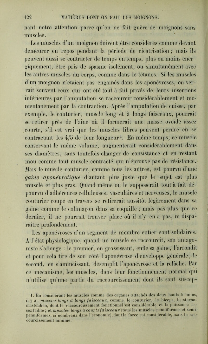 liant notre attention parce qn’on ne fait guère de moignons sans muscles. Les muscles d’un moignon doivent être considérés comme devant demeurer en repos jiendant la période de cicatrisation ; mais ils peuvent aussi se contracter de temps en temps, jdus ou moins éner- giquement, être |)ris de spasme isolément, ou simultanément avec les autres muscles du corps, comme dans le tétanos. Si les musck's d’un moignon n’étaient pas engainés dans les a|)onévroses, on ver- rait souvent ceux qui ont été tout à fait privés de leurs insertions inferieures par l’amputation se raccourcir considérablement et mo- mentanément par la contraction. Après l’amjiutation de cuisse, par exemple, le couturier, muscle long et à longs faisceaux, pourrait se retirer ])rès de l’aine où il formerait une masse ovoïde assez courte, s’il est vrai que les'muscles libres peuvent perdre en se contractant les 4/5 de leur longueur L En même temps, ce muscle conservant le même volume, augmenterait considérablement dans ses diamètres, sans toutefois changer de consistance et en restant mou comme tout muscle contracté qui n’éprouve pas de résistance. Mais le muscle couturier, comme tous les autres, est pourvu d’une gaine aponévrotique d’autant plus juste que le sujet est plus musclé et })lus gras. Quand même on le supposerait tout à fait dé- pourvu d’adhérences celluleuses, vasculaires et nerveuses, le muscle couturier coupé en travers se retirerait aussitôt légèrement dans sa gaine comme le colimaçon dans sa coquille ; mais pas plus que ce dernier, il ne pourrait trouver place où il n’y en a pas, ni dispa- raître profondément. Les aponévroses d’un segment de membre entier sont solidaires. A l’état physiologique, quand un muscle se raccourcit, son antago- niste s’allonge : le premier, en grossissant, enfle sa gaine, l’arrondit et pour cela tire de son côté l’aponévrose d’envelo])pe générale ; le second, en s’amincissant, désemplit l’aponévrose et la relâche. Par ce mécanisme, les muscles, dans leur fonctionnement normal qui n’utilise qu’une partie du raccourcissement dont ils sont suscc[)- 1. Eu considérant les muscles connue des organes attachés des deux bouts à un os, il y a : muscles longs à longs faisceaux, connue le couturier, le biceps, le stei'uo- mastoïdieu, dont le raccourcissement foucfiouuel est considérable et la puissance as- sez faible ; et muscles longs à courts faisceaux (tous les muscles peuuiformes et semi- peuuiformes, si nombreux dans l’économie), dont la force est considérable, mais le rac- courcissement minime.