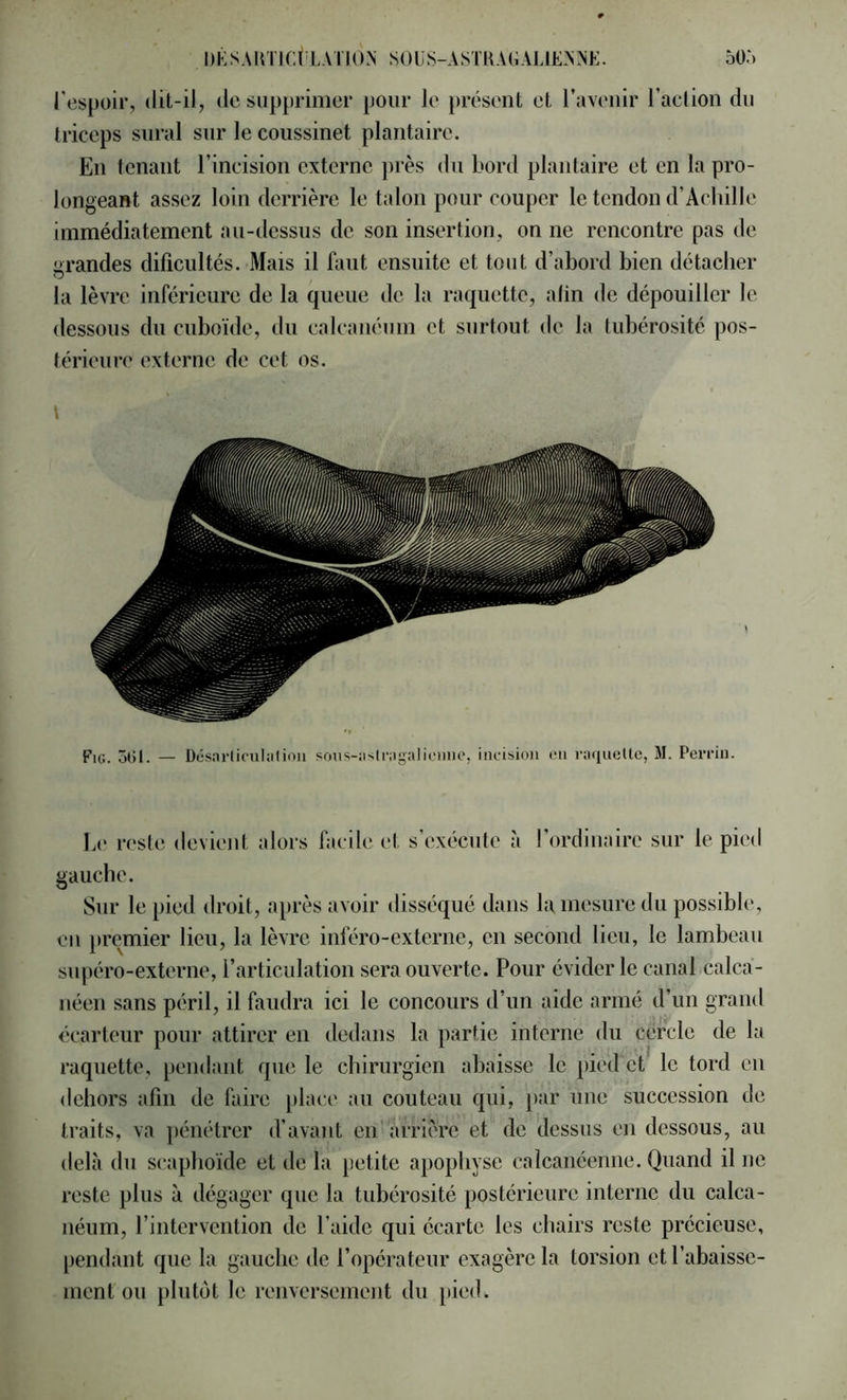 l’espoir, dit-il, de supprimer pour le présent et l’avenir l’aclion du triceps sural sur le coussinet plantaire. En tenant l’incision externe près du bord plantaire et en la pro- longeant assez loin derrière le talon pour couper le tendon d’Achille immédiatement au-dessus de son insertion, on ne rencontre pas de grandes dificultés. Mais il faut ensuite et tout d’abord bien détacher la lèvre inférieure de la queue de la raquette, afin de dépouiller le dessous du cuboïde, du calcanéum et surtout de la tubérosité pos- térieure externe de cet os. \ Fig. 501. — Dcsnrliciiljilimi soits-iisliMgaliciine, incision en r:njucUc, M. Perrin. Le reste devient alors facile et s’exécute à l’ordinaire sur le pied gauche. Sur le pied droit, après avoir disséqué dans la mesure du possible, eu premier lieu, la lèvre inféro-externe, en second lieu, le lambeau supéro-externe, l’articulation sera ouverte. Pour évider le canal calca- néen sans péril, il faudra ici le concours d’un aide armé d’un grand écarteur pour attirer en dedans la partie interne du cercle de la raquette, pendant que le chirurgien ahaisse le pied et le tord en <lehors afin de faire place au couteau qui, [)ar une succession de traits, va pénétrer d’avant en' arrière et de 'dessus en dessous, au delà du scaphoïde et de la petite apophyse calcanéenne. Quand il ne reste plus à dégager que la tubérosité postérieure interne du calca- néum, l’intervention de l’aide qui écarte les chairs reste précieuse, pendant que la gauche de l’opérateur exagère la torsion et l’abaisse- ment ou plutôt le renversement du pied.