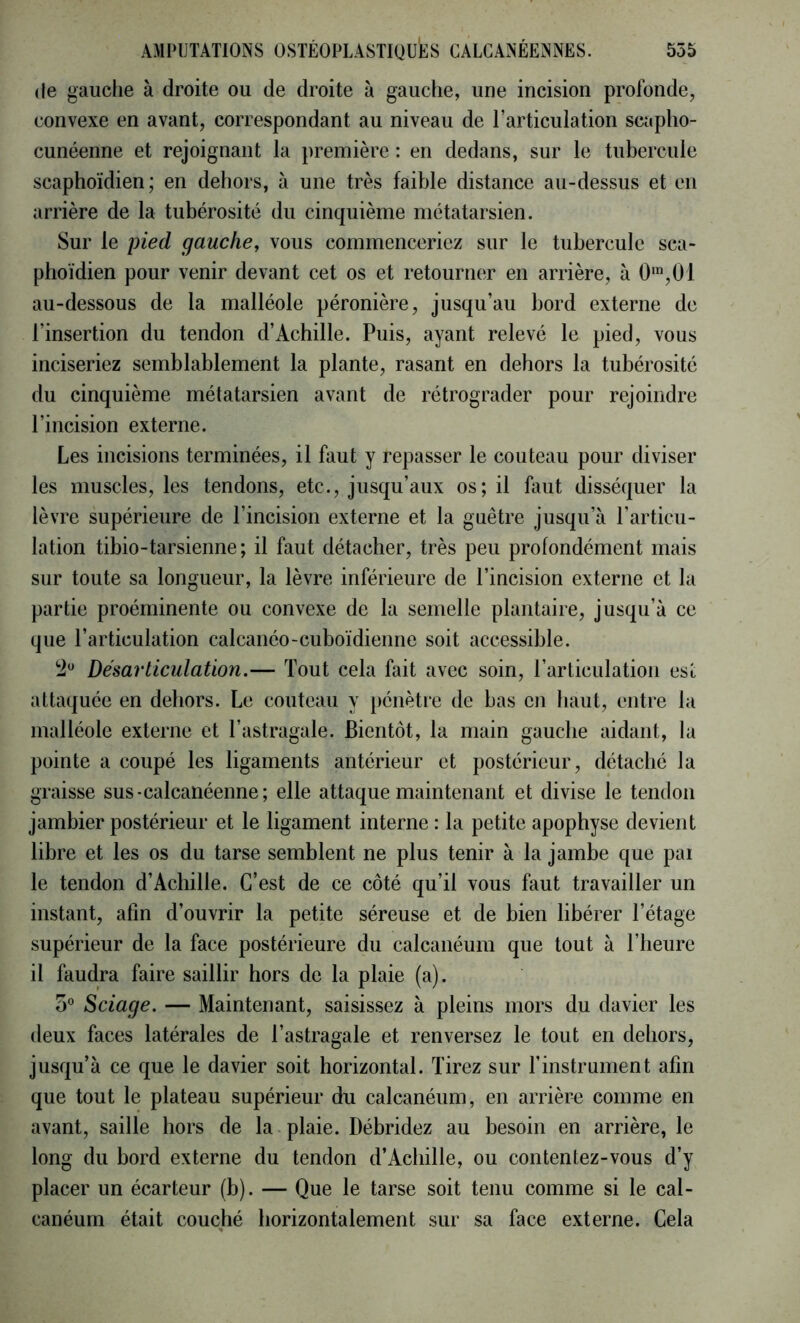 (le gauche à droite ou de droite à gauche, une incision profonde, convexe en avant, correspondant au niveau de l’articulation scapho- cunéenne et rejoignant la première : en dedans, sur le tubercule scaphoïdien; en dehors, à une très faible distance au-dessus et en arrière de la tubérosité du cinquième métatarsien. Sur le pied gauche^ vous commenceriez sur le tubercule sca- phoïdien pour venir devant cet os et retourner en arrière, à 0‘,01 au-dessous de la malléole péronière, jusqu’au bord externe de l’insertion du tendon d’Achille. Puis, ayant relevé le pied, vous inciseriez semblablement la plante, rasant en dehors la tubérosité du cinquième métatarsien avant de rétrograder pour rejoindre l’incision externe. Les incisions terminées, il faut y repasser le couteau pour diviser les muscles, les tendons, etc., jusqu’aux os; il faut disséquer la lèvre supérieure de l’incision externe et la guêtre jusqu’à l’articu- lation tibio-tarsienne; il faut détacher, très peu profondément mais sur toute sa longueur, la lèvre inférieure de l’incision externe et la partie proéminente ou convexe de la semelle plantaire, jusqu’à ce que l’articulation calcanéo-cuboïdienne soit accessible. Désarticulation.— Tout cela fait avec soin, l’articulation est attaquée en dehors. Le couteau y pénètre de bas en haut, entre la malléole externe et l’astragale. Bientôt, la main gauche aidant, la pointe a coupé les ligaments antérieur et postérieur, détaché la graisse sus-calcanéenne; elle attaque maintenant et divise le tendon jambier postérieur et le ligament interne : la petite apophyse devient libre et les os du tarse semblent ne plus tenir à la jambe que pai le tendon d’Achille. C’est de ce côté qu’il vous faut travailler un instant, afin d’ouvrir la petite séreuse et de bien libérer l’étage supérieur de la face postérieure du calcanéum que tout à l’heure il faudra faire saillir hors de la plaie (a). 5 Sciage. — Maintenant, saisissez à pleins mors du davier les deux faces latérales de l’astragale et renversez le tout en dehors, jusqu’à ce que le davier soit horizontal. Tirez sur l’instrument afin que tout le plateau supérieur du calcanéum, en arrière comme en avant, saille hors de la plaie. Débridez au besoin en arrière, le long du bord externe du tendon d’Achille, ou contentez-vous d’y placer un écarteur (b). — Que le tarse soit tenu comme si le cal- canéum était couché horizontalement sur sa face externe. Gela «