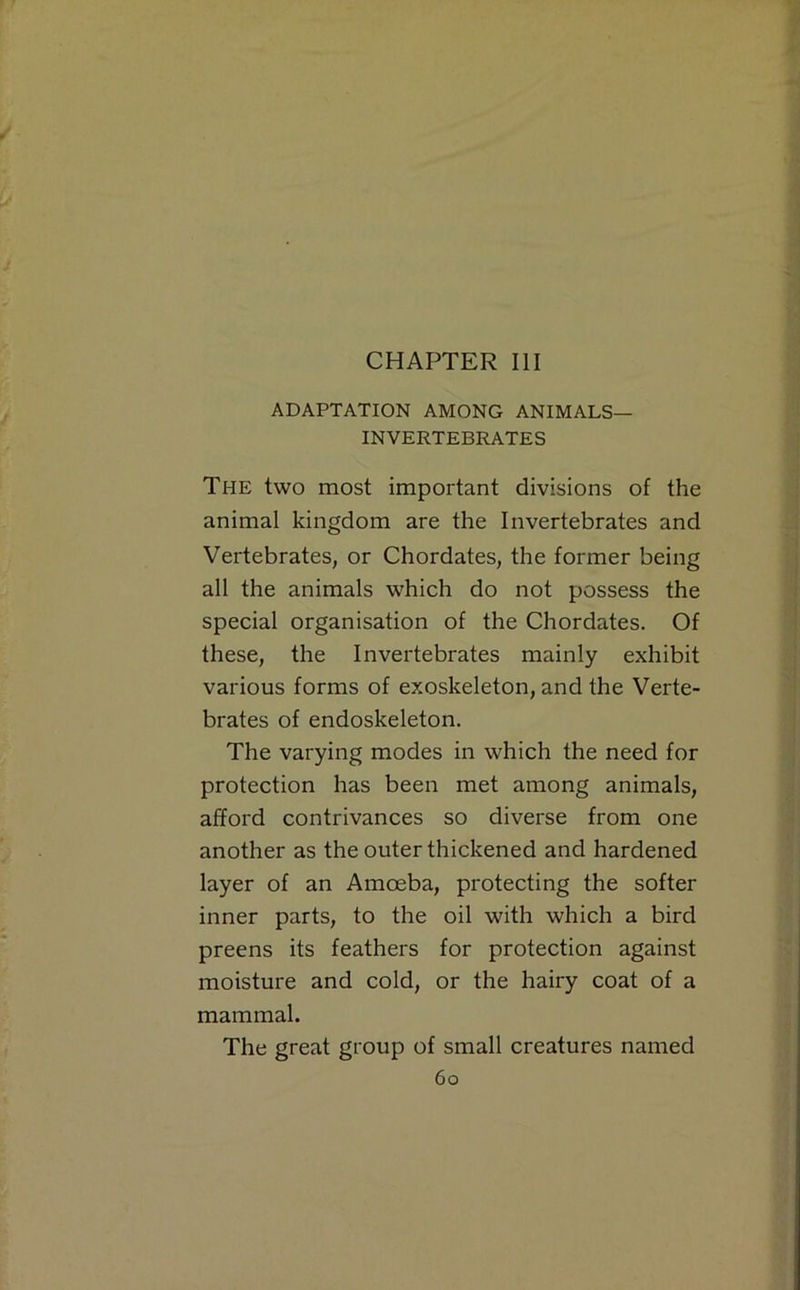 CHAPTER III ADAPTATION AMONG ANIMALS— INVERTEBRATES The two most important divisions of the animal kingdom are the Invertebrates and Vertebrates, or Chordates, the former being all the animals which do not possess the special organisation of the Chordates. Of these, the Invertebrates mainly exhibit various forms of exoskeleton, and the Verte- brates of endoskeleton. The varying modes in which the need for protection has been met among animals, afford contrivances so diverse from one another as the outer thickened and hardened layer of an Amoeba, protecting the softer inner parts, to the oil with which a bird preens its feathers for protection against moisture and cold, or the hairy coat of a mammal. The great group of small creatures named 6o