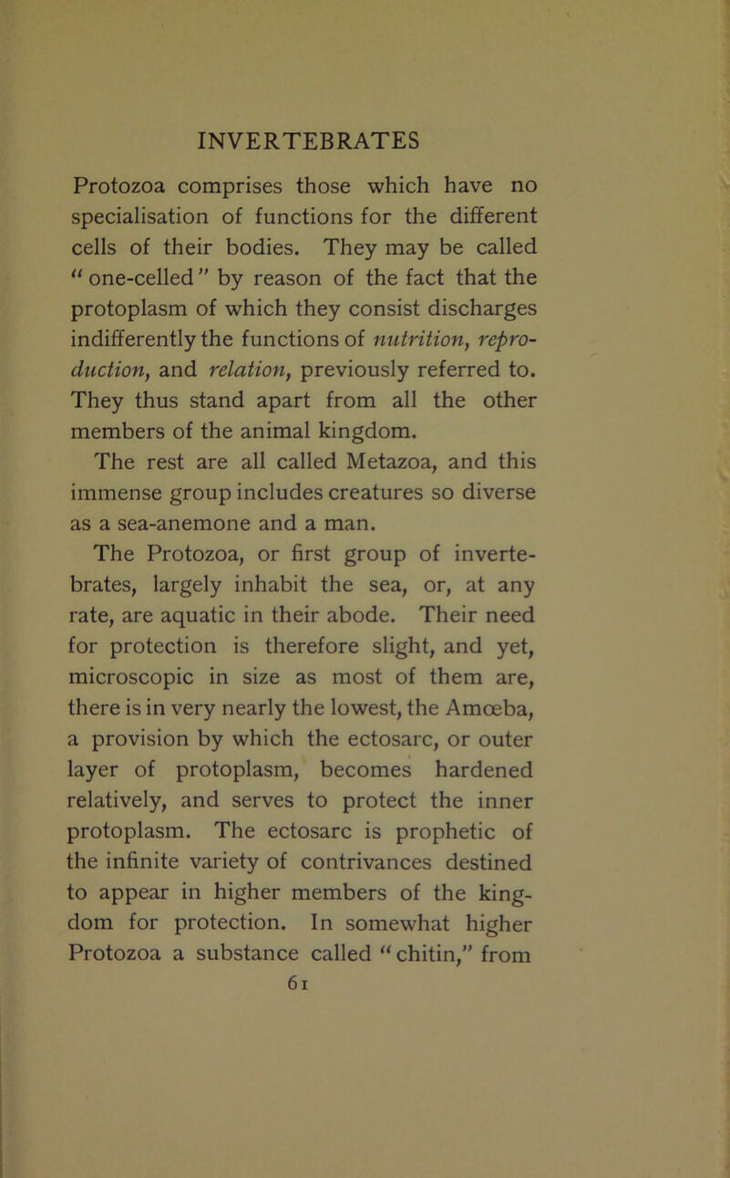 Protozoa comprises those which have no specialisation of functions for the diflFerent cells of their bodies. They may be called “ one-celled ” by reason of the fact that the protoplasm of which they consist discharges indifferently the functions of nutrition, repro- duction, and relation, previously referred to. They thus stand apart from all the other members of the animal kingdom. The rest are all called Metazoa, and this immense group includes creatures so diverse as a sea-anemone and a man. The Protozoa, or first group of inverte- brates, largely inhabit the sea, or, at any rate, are aquatic in their abode. Their need for protection is therefore slight, and yet, microscopic in size as most of them are, there is in very nearly the lowest, the Amoeba, a provision by which the ectosarc, or outer layer of protoplasm, becomes hardened relatively, and serves to protect the inner protoplasm. The ectosarc is prophetic of the infinite variety of contrivances destined to appear in higher members of the king- dom for protection. In somewhat higher Protozoa a substance called “ chitin,” from 6i