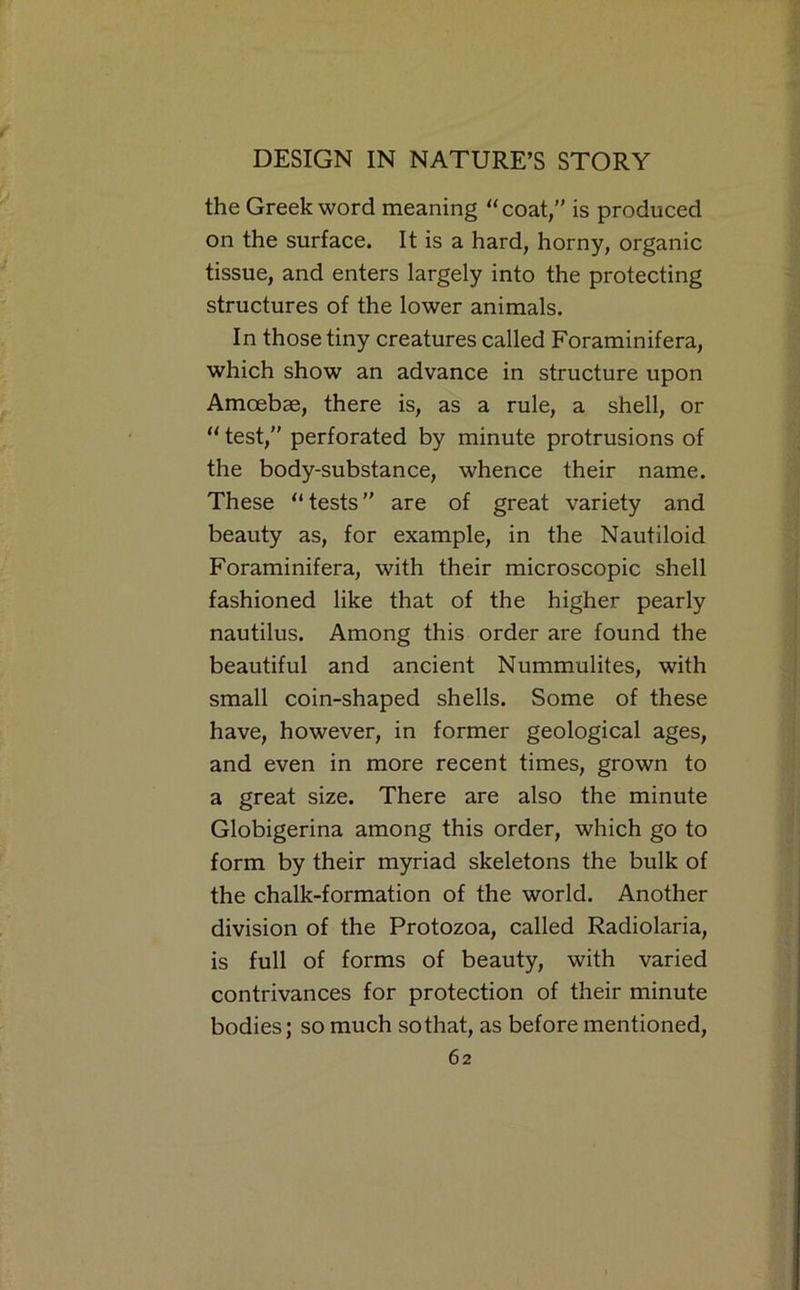the Greek word meaning “coat,” is produced on the surface. It is a hard, horny, organic tissue, and enters largely into the protecting structures of the lower animals. In those tiny creatures called Foraminifera, which show an advance in structure upon Amoebae, there is, as a rule, a shell, or “ test,” perforated by minute protrusions of the body-substance, whence their name. These “ tests ” are of great variety and beauty as, for example, in the Nautiloid Foraminifera, with their microscopic shell fashioned like that of the higher pearly nautilus. Among this order are found the beautiful and ancient Nummulites, with small coin-shaped shells. Some of these have, however, in former geological ages, and even in more recent times, grown to a great size. There are also the minute Globigerina among this order, which go to form by their myriad skeletons the bulk of the chalk-formation of the world. Another division of the Protozoa, called Radiolaria, is full of forms of beauty, with varied contrivances for protection of their minute bodies; so much so that, as before mentioned,