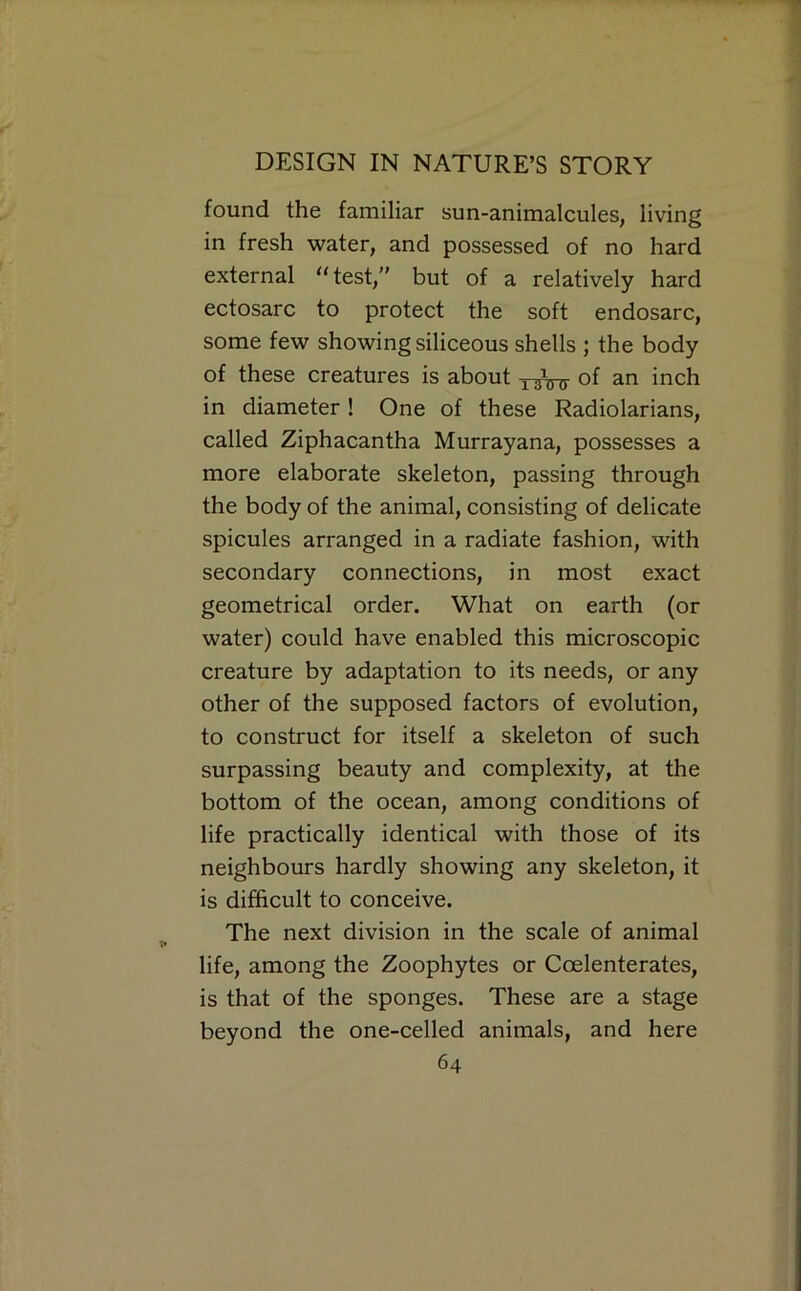 found the familiar sun-animalcules, living in fresh water, and possessed of no hard external ‘‘test,” but of a relatively hard ectosarc to protect the soft endosarc, some few showing siliceous shells ; the body of these creatures is about of an inch in diameter! One of these Radiolarians, called Ziphacantha Murrayana, possesses a more elaborate skeleton, passing through the body of the animal, consisting of delicate spicules arranged in a radiate fashion, with secondary connections, in most exact geometrical order. What on earth (or water) could have enabled this microscopic creature by adaptation to its needs, or any other of the supposed factors of evolution, to construct for itself a skeleton of such surpassing beauty and complexity, at the bottom of the ocean, among conditions of life practically identical with those of its neighbours hardly showing any skeleton, it is difficult to conceive. The next division in the scale of animal life, among the Zoophytes or Coelenterates, is that of the sponges. These are a stage beyond the one-celled animals, and here