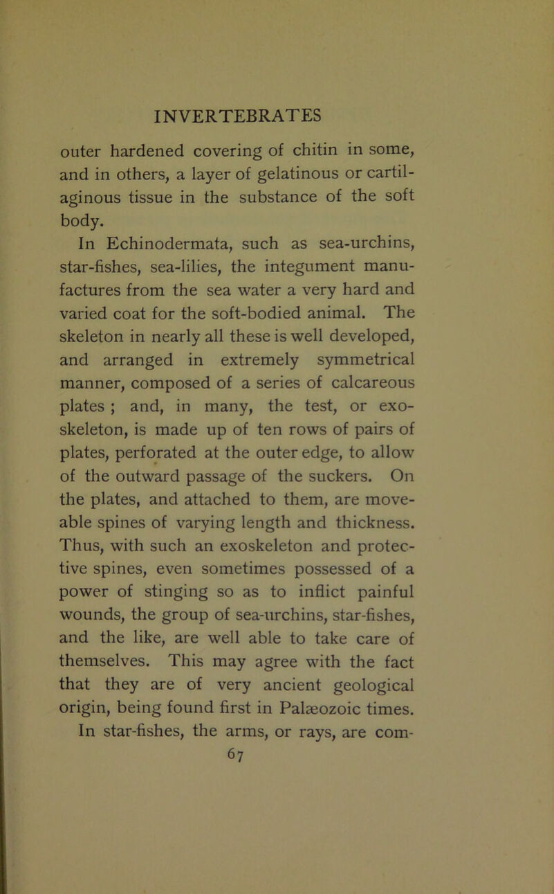 outer hardened covering of chitin in some, and in others, a layer of gelatinous or cartil- aginous tissue in the substance of the soft body. In Echinodermata, such as sea-urchins, star-fishes, sea-lilies, the integument manu- factures from the sea water a very hard and varied coat for the soft-bodied animal. The skeleton in nearly all these is well developed, and arranged in extremely symmetrical manner, composed of a series of calcareous plates ; and, in many, the test, or exo- skeleton, is made up of ten rows of pairs of plates, perforated at the outer edge, to allow of the outward passage of the suckers. On the plates, and attached to them, are move- able spines of varying length and thickness. Thus, with such an exoskeleton and protec- tive spines, even sometimes possessed of a power of stinging so as to infllict painful wounds, the group of sea-urchins, star-fishes, and the like, are well able to take care of themselves. This may agree with the fact that they are of very ancient geological origin, being found first in Palaeozoic times. In star-fishes, the arms, or rays, are com-