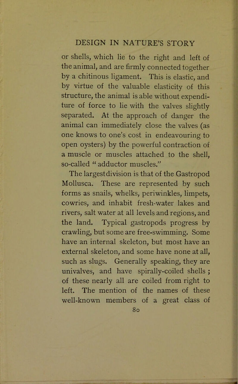 or shells, which lie to the right and left of the animal, and are firmly connected together by a chitinous ligament. This is elastic, and by virtue of the valuable elasticity of this structure, the animal is able without expendi- ture of force to lie with the valves slightly separated. At the approach of danger the animal can immediately close the valves (as one knows to one’s cost in endeavouring to open oysters) by the powerful contraction of a muscle or muscles attached to the shell, so-called ‘‘ adductor muscles.” The largest division is that of the Gastropod Mollusca. These are represented by such forms as snails, whelks, periwinkles, limpets, cowries, and inhabit fresh-water lakes and rivers, salt water at all levels and regions, and the land. Typical gastropods progress by crawling, but some are free-swimming. Some have an internal skeleton, but most have an external skeleton, and some have none at all, such as slugs. Generally speaking, they are univalves, and have spirally-coiled shells ; of these nearly all are coiled from right to left. The mention of the names of these well-known members of a great class of 8o