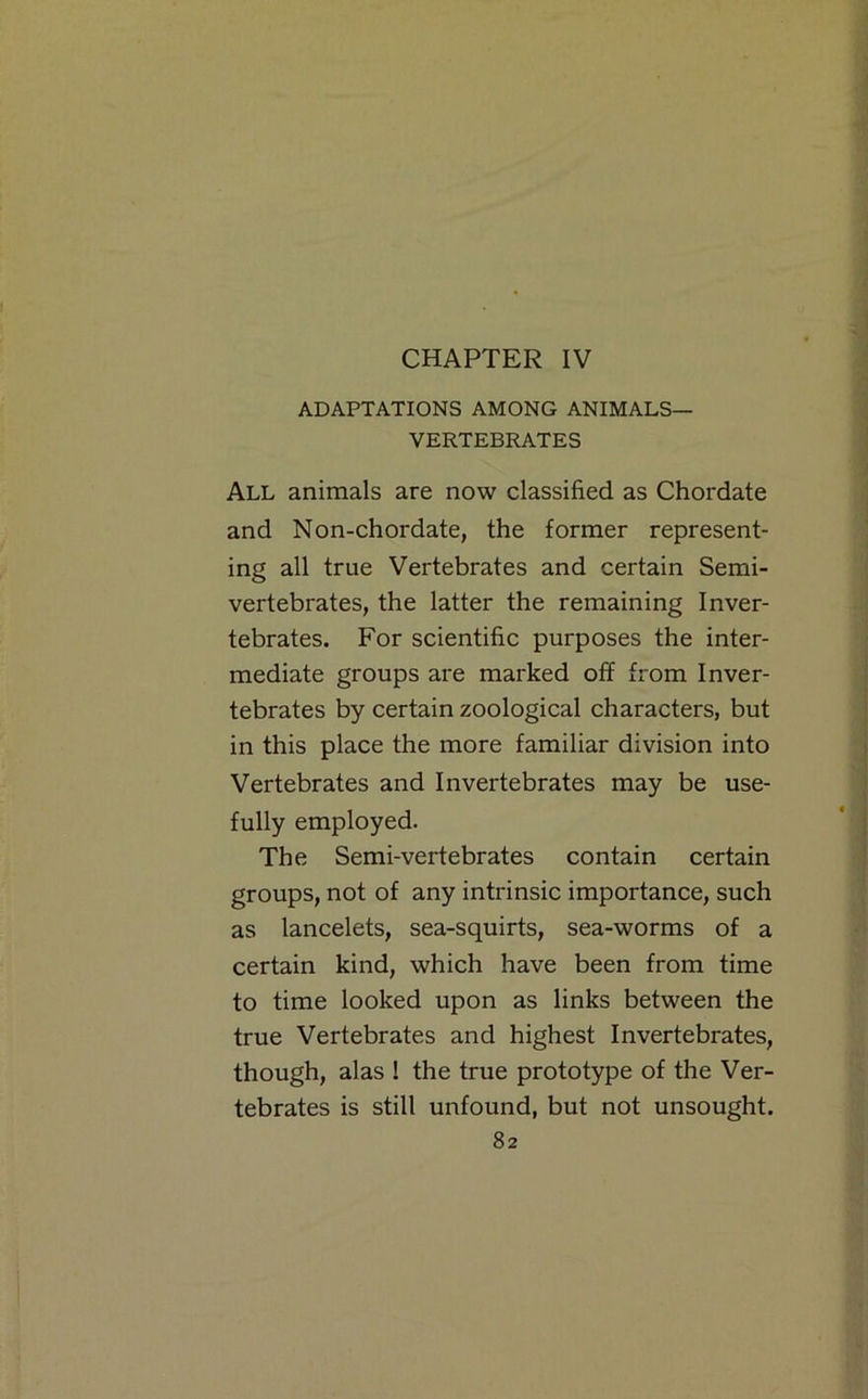 CHAPTER IV ADAPTATIONS AMONG ANIMALS— VERTEBRATES All animals are now classified as Chordate and Non-chordate, the former represent- ing all true Vertebrates and certain Semi- vertebrates, the latter the remaining Inver- tebrates. For scientific purposes the inter- mediate groups are marked off from Inver- tebrates by certain zoological characters, but in this place the more familiar division into Vertebrates and Invertebrates may be use- fully employed. The Semi-vertebrates contain certain groups, not of any intrinsic importance, such as lancelets, sea-squirts, sea-worms of a certain kind, which have been from time to time looked upon as links between the true Vertebrates and highest Invertebrates, though, alas ! the true prototype of the Ver- tebrates is still unfound, but not unsought.