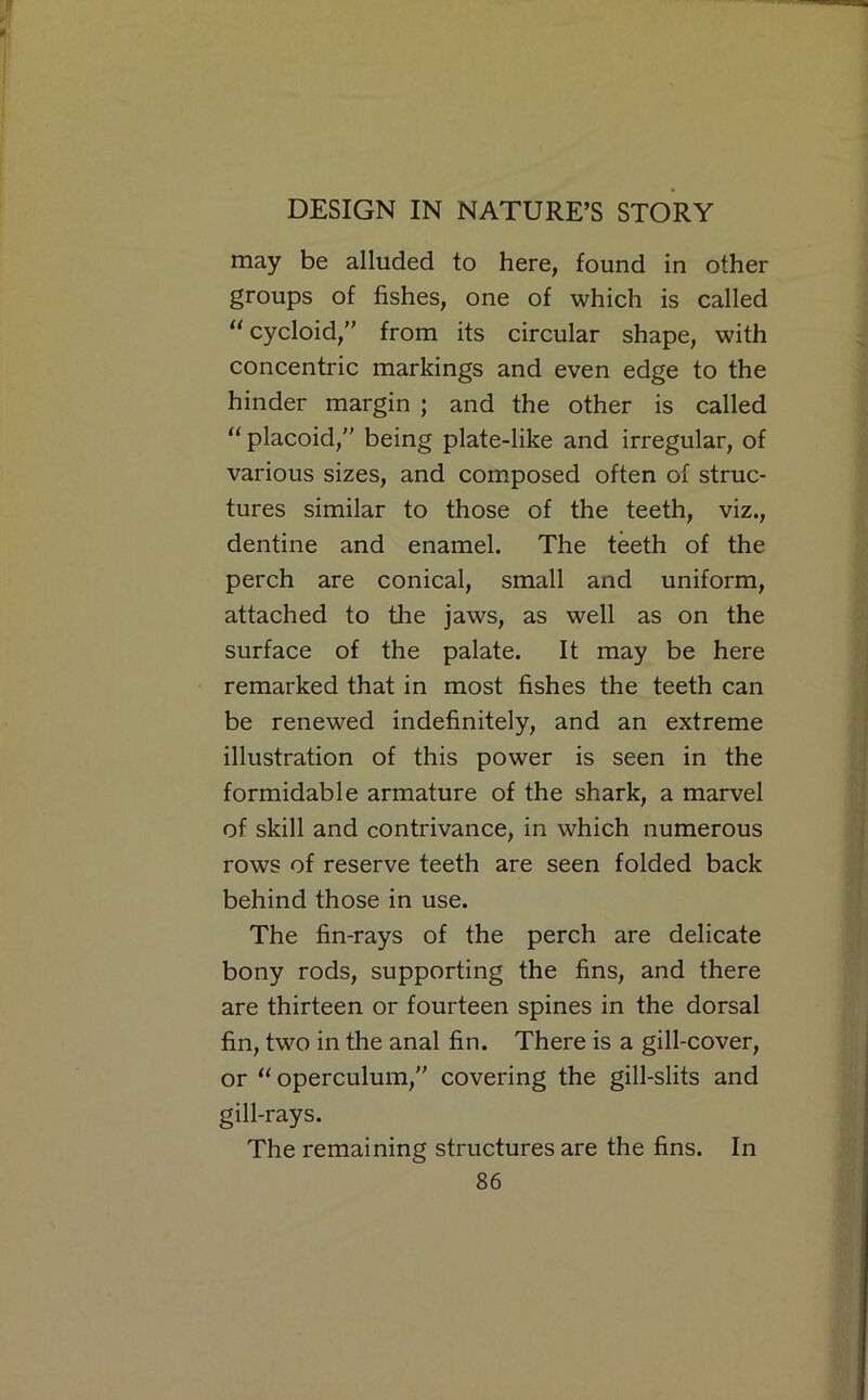 may be alluded to here, found in other groups of fishes, one of which is called “ cycloid,” from its circular shape, with concentric markings and even edge to the hinder margin ; and the other is called “ placoid,” being plate-like and irregular, of various sizes, and composed often of struc- tures similar to those of the teeth, viz., dentine and enamel. The teeth of the perch are conical, small and uniform, attached to the jaws, as well as on the surface of the palate. It may be here remarked that in most fishes the teeth can be renewed indefinitely, and an extreme illustration of this power is seen in the formidable armature of the shark, a marvel of skill and contrivance, in which numerous rows of reserve teeth are seen folded back behind those in use. The fin-rays of the perch are delicate bony rods, supporting the fins, and there are thirteen or fourteen spines in the dorsal fin, two in the anal fin. There is a gill-cover, or “operculum,” covering the gill-slits and gill-rays. The remaining structures are the fins. In
