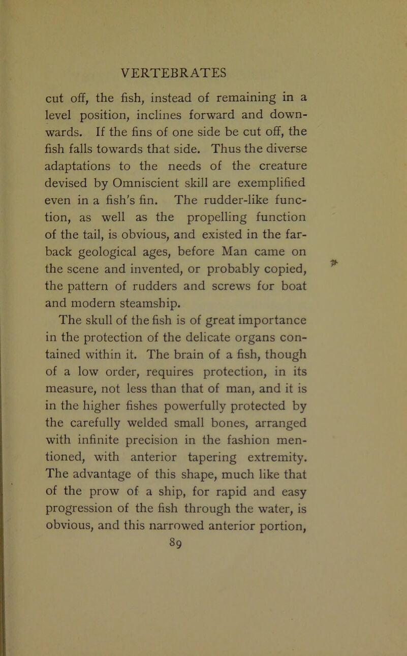 cut off, the fish, instead of remaining in a level position, inclines forward and down- wards. If the fins of one side be cut off, the fish falls towards that side. Thus the diverse adaptations to the needs of the creature devised by Omniscient skill are exemplified even in a fish's fin. The rudder-like func- tion, as well as the propelling function of the tail, is obvious, and existed in the far- back geological ages, before Man came on the scene and invented, or probably copied, the pattern of rudders and screws for boat and modern steamship. The skull of the fish is of great importance in the protection of the delicate organs con- tained within it. The brain of a fish, though of a low order, requires protection, in its measure, not less than that of man, and it is in the higher fishes powerfully protected by the carefully welded small bones, arranged with infinite precision in the fashion men- tioned, with anterior tapering extremity. The advantage of this shape, much like that of the prow of a ship, for rapid and easy progression of the fish through the water, is obvious, and this narrowed anterior portion,