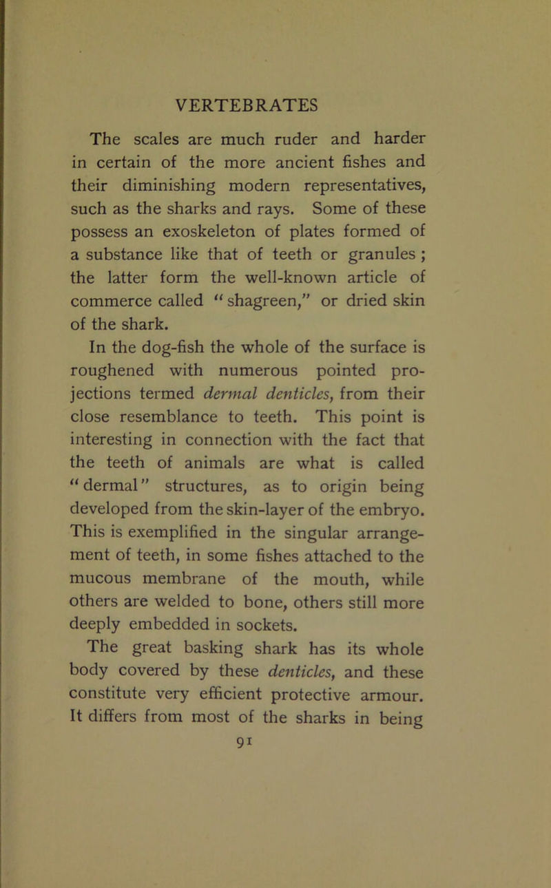 The scales are much ruder and harder in certain of the more ancient fishes and their diminishing modern representatives, such as the sharks and rays. Some of these possess an exoskeleton of plates formed of a substance like that of teeth or granules ; the latter form the well-known article of commerce called “ shagreen,” or dried skin of the shark. In the dog-fish the whole of the surface is roughened with numerous pointed pro- jections termed dermal denticles, from their close resemblance to teeth. This point is interesting in connection with the fact that the teeth of animals are what is called “ dermal ” structures, as to origin being developed from the skin-layer of the embryo. This is exemplified in the singular arrange- ment of teeth, in some fishes attached to the mucous membrane of the mouth, while others are welded to bone, others still more deeply embedded in sockets. The great basking shark has its whole body covered by these denticles, and these constitute very efficient protective armour. It differs from most of the sharks in being