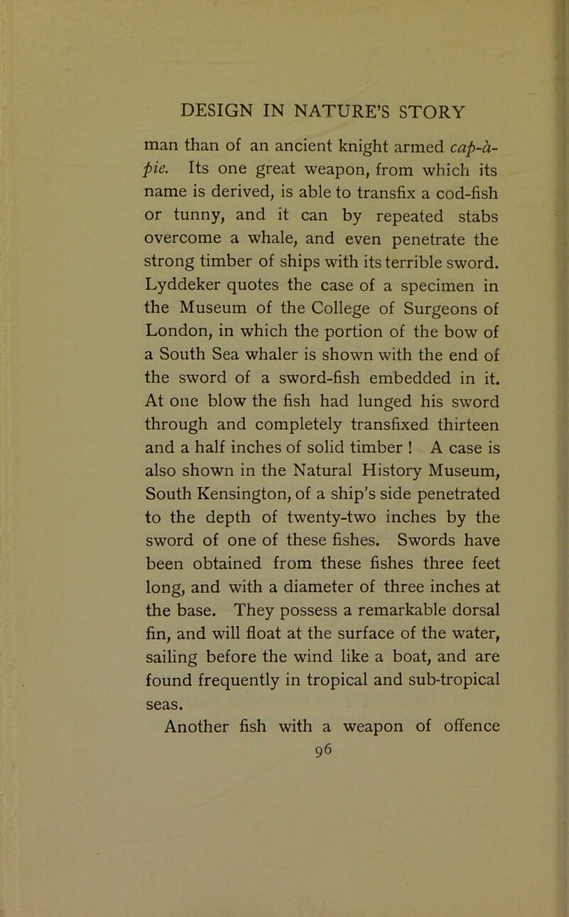 man than of an ancient knight armed cap-a- pie. Its one great weapon, from which its name is derived, is able to transfix a cod-fish or tunny, and it can by repeated stabs overcome a whale, and even penetrate the strong timber of ships with its terrible sword. Lyddeker quotes the case of a specimen in the Museum of the College of Surgeons of London, in which the portion of the bow of a South Sea whaler is shown with the end of the sword of a sword-fish embedded in it. At one blow the fish had lunged his sword through and completely transfixed thirteen and a half inches of solid timber ! A case is also shown in the Natural History Museum, South Kensington, of a ship's side penetrated to the depth of twenty-two inches by the sword of one of these fishes. Swords have been obtained from these fishes three feet long, and with a diameter of three inches at the base. They possess a remarkable dorsal fin, and will float at the surface of the water, sailing before the wind like a boat, and are found frequently in tropical and sub-tropical seas. Another fish with a weapon of offence