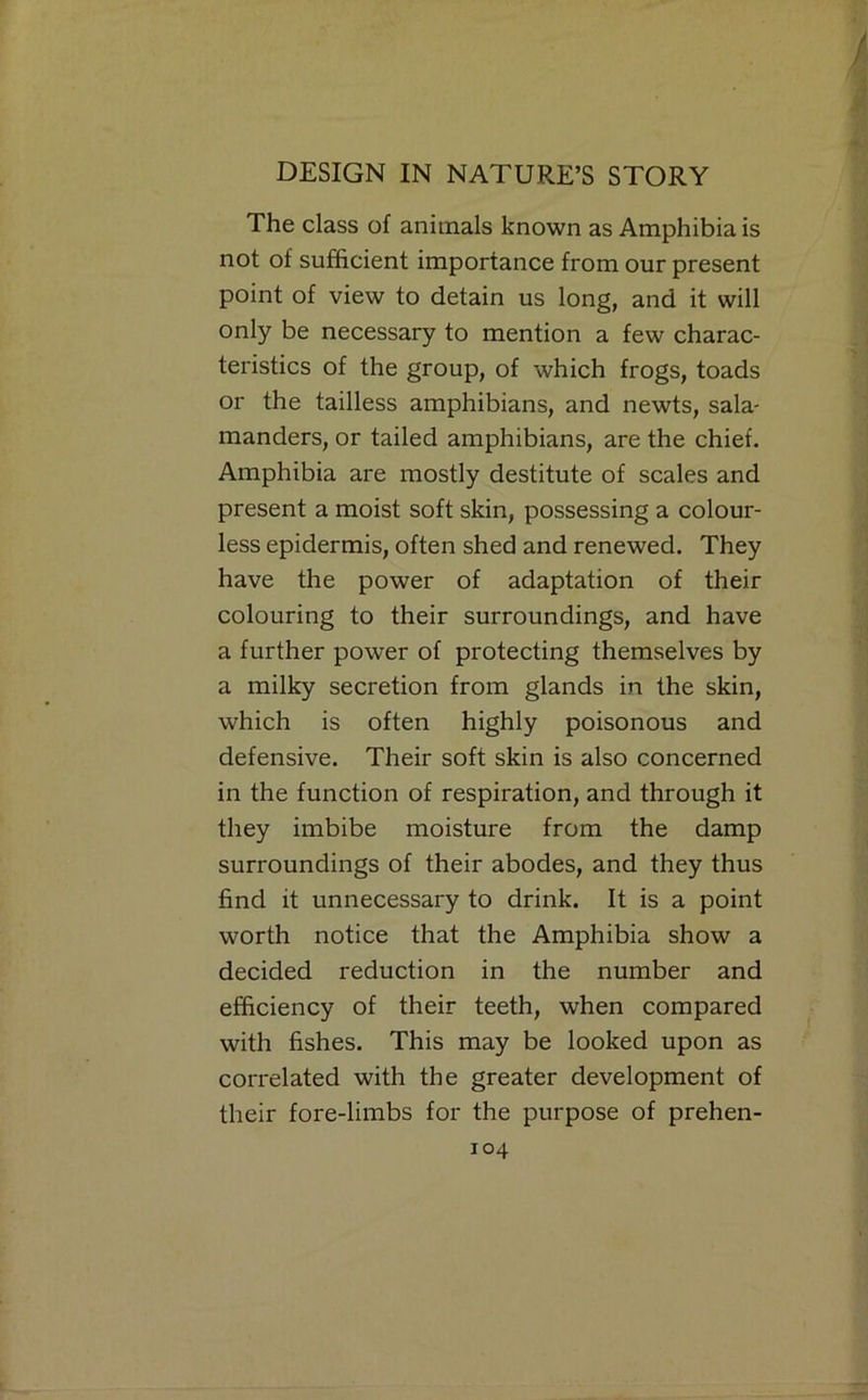 The class of animals known as Amphibia is not of sufficient importance from our present point of view to detain us long, and it will only be necessary to mention a few charac- teristics of the group, of which frogs, toads or the tailless amphibians, and newts, sala- manders, or tailed amphibians, are the chief. Amphibia are mostly destitute of scales and present a moist soft skin, possessing a colour- less epidermis, often shed and renewed. They have the power of adaptation of their colouring to their surroundings, and have a further power of protecting themselves by a milky secretion from glands in the skin, which is often highly poisonous and defensive. Their soft skin is also concerned in the function of respiration, and through it they imbibe moisture from the damp surroundings of their abodes, and they thus find it unnecessary to drink. It is a point worth notice that the Amphibia show a decided reduction in the number and efficiency of their teeth, when compared with fishes. This may be looked upon as correlated with the greater development of their fore-limbs for the purpose of prehen-