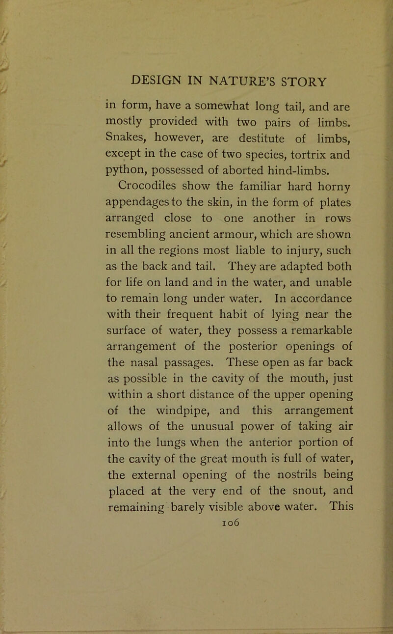 in form, have a somewhat long tail, and are mostly provided with two pairs of limbs. Snakes, however, are destitute of limbs, except in the case of two species, tortrix and python, possessed of aborted hind-limbs. Crocodiles show the familiar hard horny appendages to the skin, in the form of plates arranged close to one another in rows resembling ancient armour, which are shown in all the regions most liable to injury, such as the back and tail. They are adapted both for life on land and in the water, and unable to remain long under water. In accordance with their frequent habit of lying near the surface of water, they possess a remarkable arrangement of the posterior openings of the nasal passages. These open as far back as possible in the cavity of the mouth, just within a short distance of the upper opening of the windpipe, and this arrangement allows of the unusual power of taking air into the lungs when the anterior portion of the cavity of the great mouth is full of water, the external opening of the nostrils being placed at the very end of the snout, and remaining barely visible above water. This io6