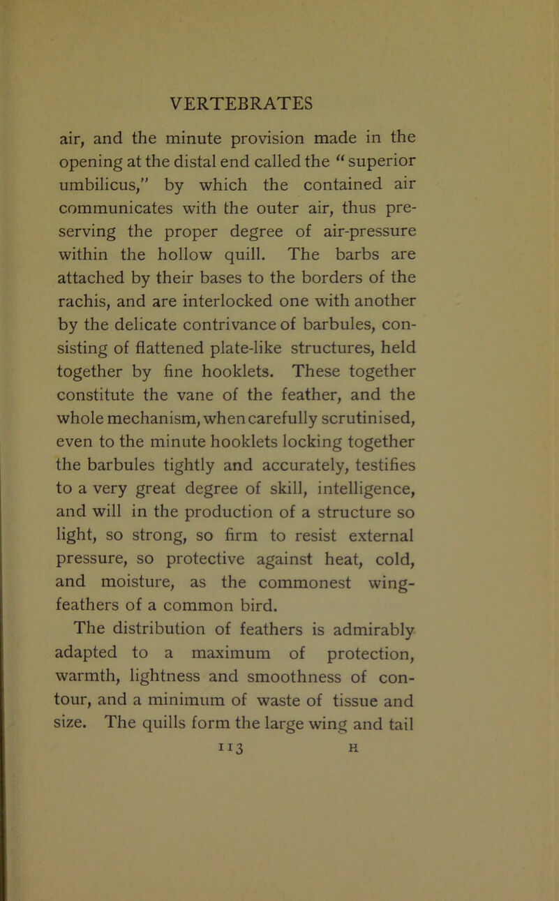 air, and the minute provision made in the opening at the distal end called the “ superior umbilicus,” by which the contained air communicates with the outer air, thus pre- serving the proper degree of air-pressure within the hollow quill. The barbs are attached by their bases to the borders of the rachis, and are interlocked one with another by the delicate contrivance of barbules, con- sisting of flattened plate-like structures, held together by fine booklets. These together constitute the vane of the feather, and the whole mechanism, when carefully scrutinised, even to the minute booklets locking together the barbules tightly and accurately, testifies to a very great degree of skill, intelligence, and will in the production of a structure so light, so strong, so firm to resist external pressure, so protective against heat, cold, and moisture, as the commonest wing- feathers of a common bird. The distribution of feathers is admirably adapted to a maximum of protection, warmth, lightness and smoothness of con- tour, and a minimum of waste of tissue and size. The quills form the large wing and tail
