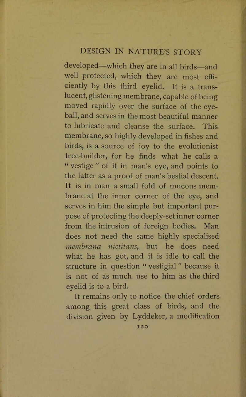 developed—which they are in all birds—and well protected, which they are most effi- ciently by this third eyelid. It is a trans- lucent, glistening membrane, capable of being moved rapidly over the surface of the eye- ball, and serves in the most beautiful manner to lubricate and cleanse the surface. This membrane, so highly developed in fishes and birds, is a source of joy to the evolutionist tree-builder, for he finds what he calls a “ vestige ” of it in man’s eye, and points to the latter as a proof of man's bestial descent. It is in man a small fold of mucous mem- brane at the inner corner of the eye, and serves in him the simple but important pur- pose of protecting the deeply-set inner corner from the intrusion of foreign bodies. Man does not need the same highly specialised membrana nictitans, but he does need what he has got, and it is idle to call the structure in question vestigial ” because it is not of as much use to him as the third eyelid is to a bird. It remains only to notice the chief orders among this great class of birds, and the division given by Lyddeker, a modification