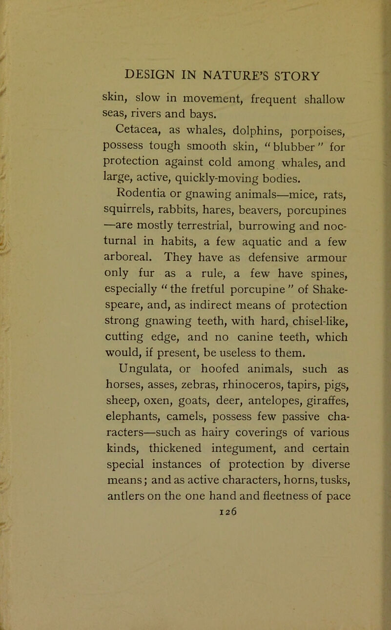 skin, slow in movement, frequent shallow seas, rivers and bays. Cetacea, as whales, dolphins, porpoises, possess tough smooth skin, “blubber” for protection against cold among whales, and large, active, quickly-moving bodies. Rodentia or gnawing animals—mice, rats, squirrels, rabbits, hares, beavers, porcupines —are mostly terrestrial, burrowing and noc- turnal in habits, a few aquatic and a few arboreal. They have as defensive armour only fur as a rule, a few have spines, especially “ the fretful porcupine ” of Shake- speare, and, as indirect means of protection strong gnawing teeth, with hard, chisel-like, cutting edge, and no canine teeth, which would, if present, be useless to them. Ungulata, or hoofed animals, such as horses, asses, zebras, rhinoceros, tapirs, pigs, sheep, oxen, goats, deer, antelopes, giraffes, elephants, camels, possess few passive cha- racters—such as hairy coverings of various kinds, thickened integument, and certain special instances of protection by diverse means; and as active characters, horns, tusks, antlers on the one hand and fleetness of pace