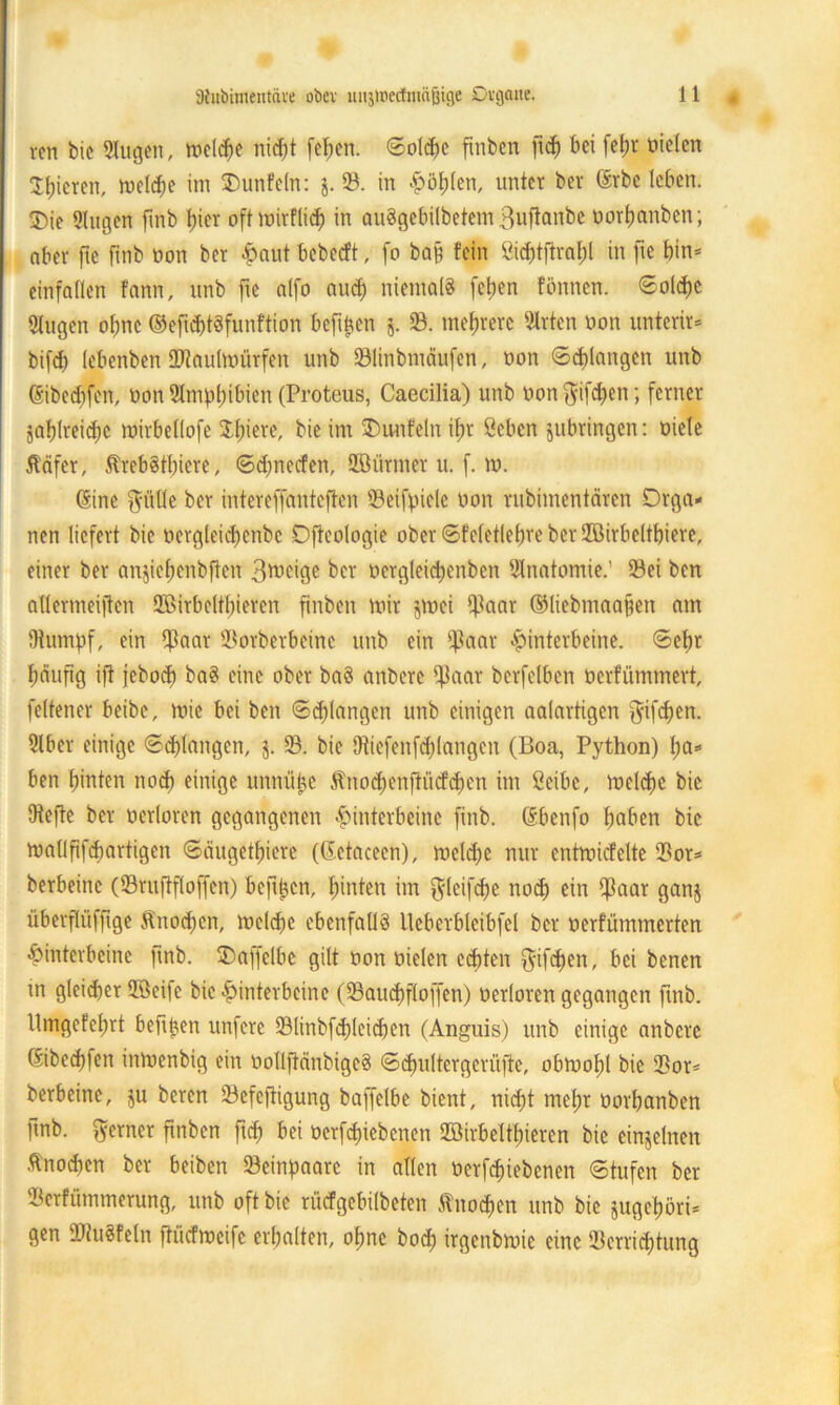 von bie Slugen, rneldje nic^t fetyen. ©olchc finben ficf) bei fetjr Dielen gieren, meld)e im 5Dunfein: j. S. in £ö&(en, unter ber (Srbc leben. SDie «lugen ftnb hier oftmirflich in auSgebilbetem 3uflanbe Dorhanben; aber fle ftnb non ber f)aut bebecft, fo bafe fein ßidjtftrafjl in fte bin- einfallen fann, unb fte alfo and) niemals fel;en fönnen. ©olchc Slugen ohne ©eficbtSfunftion befifeen j. 93. mehrere Wirten non unttrit* bifd) lebenben HHaulmürfen unb Slinbmäufen, non ©erlangen unb (Sibeeftfen, Don 5lmpl)ibien (Proteus, Caecilia) unb Don $ifd)en; ferner Zahlreiche mirbellofe Jtjiere, bie im 2)unfein if;r öeben jubringen: Diele Äöfer, $rebStf)iere, ©d;necfen, SEBärmer u. f. m. (Sine $ülle ber intereffanteften Scifpicle Don rubimenteiren Orga- nen liefert bie ocrgleichcnbc Oftcologie ober ©feletlefme ber SZBirbeltbiere, einer ber anjiebenbften B^igc ber Dcrgleidjcnben Anatomie: Sei ben atlermeijten 3Birbcltf)ieren finben mir jmei iflaar ©liebmaa§en am {Rumpf, ein $aar Sorberbcinc unb ein ißaar Hinterbeine. ©ehr häufig ift feboef) baS eine ober baS anberc IfJaat berfelben Derfümmert, feltener beibe, mie bei ben ©drangen unb einigen aalartigen $ifd)cn. 2lber einige ©drangen, j. S. bie Otiefenfcbinngen (Boa, Python) ha- ben hinten noch einige unnübe $no<henjtücf<hcn im ßeibe, meldje bie Dtefte ber Derloren gegangenen Hinterbeine finb. (Sbenfo höben bie ma(lfifd)artigen ©äugethiere (Getacecn), meldje nur entmicfelte Sor- berbeinc (Sruftfloffen) befifecn, hinten im $leifd)e nod) ein 1)3aar ganz überflüfjtge fönod)cn, mclchc ebenfalls Ueberblcibfel ber Derfiimmerten Hinterbeine finb. Oaffelbc gilt Don Dielen echten $ifd)en, bei benen in gleicher SBeile bie Hinterbeine (Sauchfloffen) Derloren gegangen finb. Umgefehrt befttjen unfere Slinbfd)leicben (Anguis) unb einige anberc (Sibechfen inmenbig ein DollftänbigeS ©cpultergerüfte, obmol;! bie Sor- berbeine, ju beren Sefefiigung baffelbe bient, nicht mehr oorbanben fmb. ferner finben ftd) bei Derfd)iebenen 2öirbeltl)ieren bie einzelnen Knochen ber beiben Seinpaare in allen oerfdjiebetten ©tufen ber Serfümmerung, unb oft bie riicfgcbilbeten Knochen unb bie zugehöri- gen 2Ru8feln ftücfmcife erhalten, ohne bod) irgenbmie eine Verrichtung