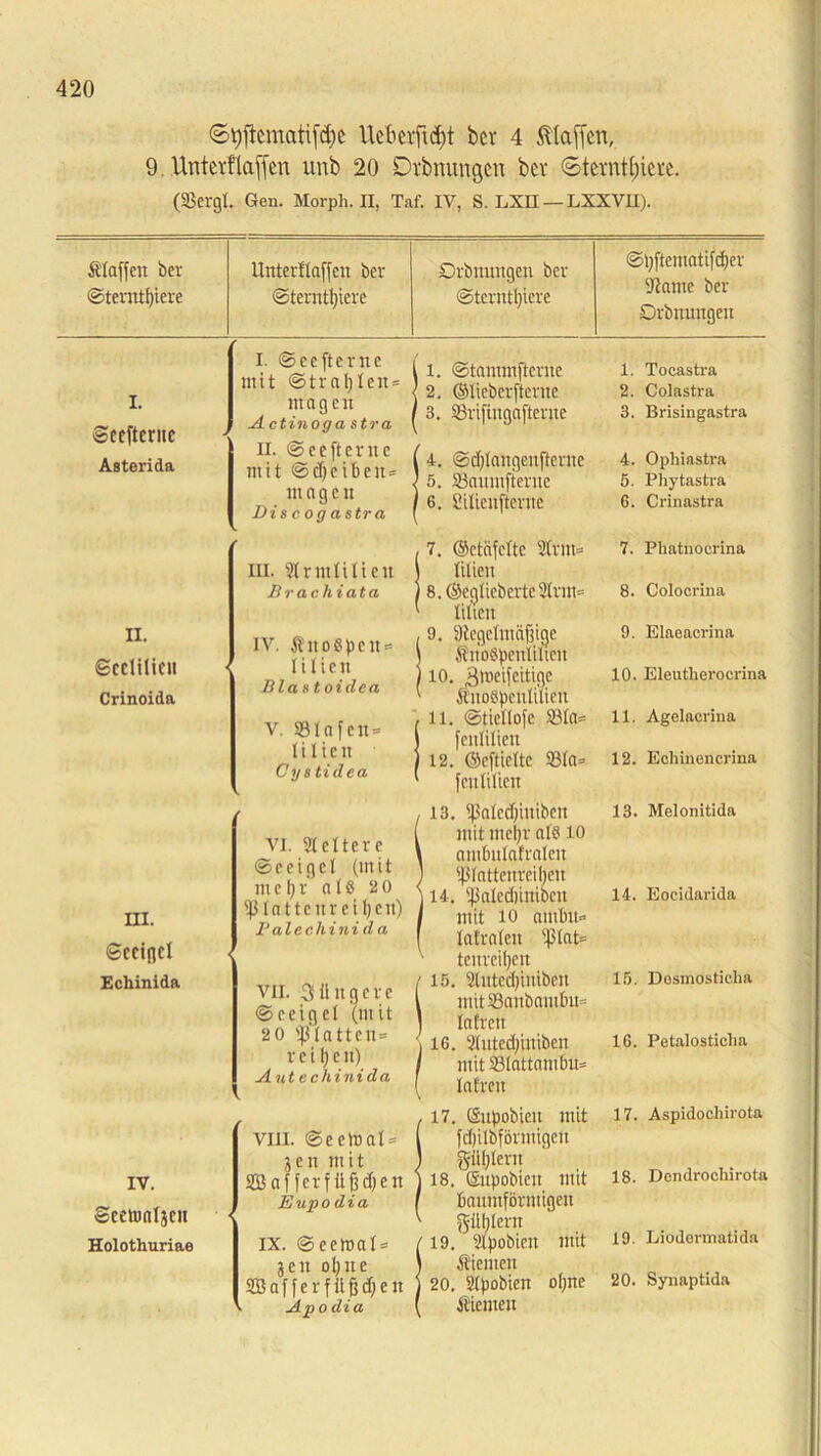 6t)ftcmati(d)c Ucbevfid)t ber 4 Sftaften, 9 Unter! taffen unb 20 Dtbnungen bcr Sterntbiere. (Sßergt. Gen. Morph. II, Taf. IV, S. LXH — LXXVII). Älaffett ber Sterntf)iere Unterfingen ber Sterntl)iere Drbitnngen bcr Stcrntl)iere Sl)ftemati(d)er ■Kante ber Orbnttngen I. Seefterne Asterida r I. Seefterne mit Stral)len = nt n g e tt Actinoga stra li. Seefterne mit Sd)eiben = nt a g c tt Di8 cog astra . l. Sfantmfterne 2. ©licbcrftentc 3. SSrifingnfterne i 4. Sd)laitgenftcrnc 5. 58anmfterne ‘ 6. Silienfterne 1. Tocastra 2. Colastra 3. Brisingastra 4. Ophiastra 5. Phytastra 6. Crinastra n. Scclilicii Crinoida HI. ©CCtflCl Echinida HI. Hrntlilieit Br ac lii ata iv. Äitoßpeu= lilien Blautoidea V. 931 a f C 1t * lilien ; Oystidea VI. Heitere (Seeigel (mit m c 0 v ° Is 20 fßlnttenreiljcn) Palecliini d a VII. jüngere Seeigel (mit 2 0 Sßlnttcn» v c i l; e it) Aut echinida , 7. ©ctäfclte Hrtn= | lilien | 8.®cglicbcrtcHrm= ' lilien , 9. SJtegelmdfjicje \ Sn'oöpcnlilicit 110. Rroeifeitige ' ÄitoSpenlilim , li. Sticllofc 93la= ) fenlilicit ) 12. ©cftieltc 93la= ' fenlilicit !i 3. fjSatedjiniben mit mel) r als 10 ambitlafralen iplattenreilien 14. *Pflled)iniocn mit io amfttt» lafralen $ptat= ' tenreiljen ii 5. Hutcdjiniben mitS3anbambn= lafrett i IC. Hntcd)iniben / mit 93lattam6u= ! lafrett 7. Phatoocrina 8. Colocrina 9. Elaeacrina 10. Eleutherocrina 11. Agelacrina 12. Echinencrina 13. Melonitida 14. Eocidarida 15. Desmostielia IG. Petalosticha IV. Scentnljcit Holothuriae ,17. (äupobiett mit VIII. Seehtal = ( fd)ilbförntigen ^ e tt mit ) $ül)lern Saf ferf tlfsdjen ) 18. ©npobiett mit Eupodia ( fictninförntigen ' güljlern IX. Seetoal = /19. Hpobien mit jen ol;tte \ Äiemen Sßaffer füfjdjen 20. Hpobien oljne Apodia ( Äiemett 17. Aspidochirota 18. Dendrochirota 19. Liodermatida 20. Synaptida