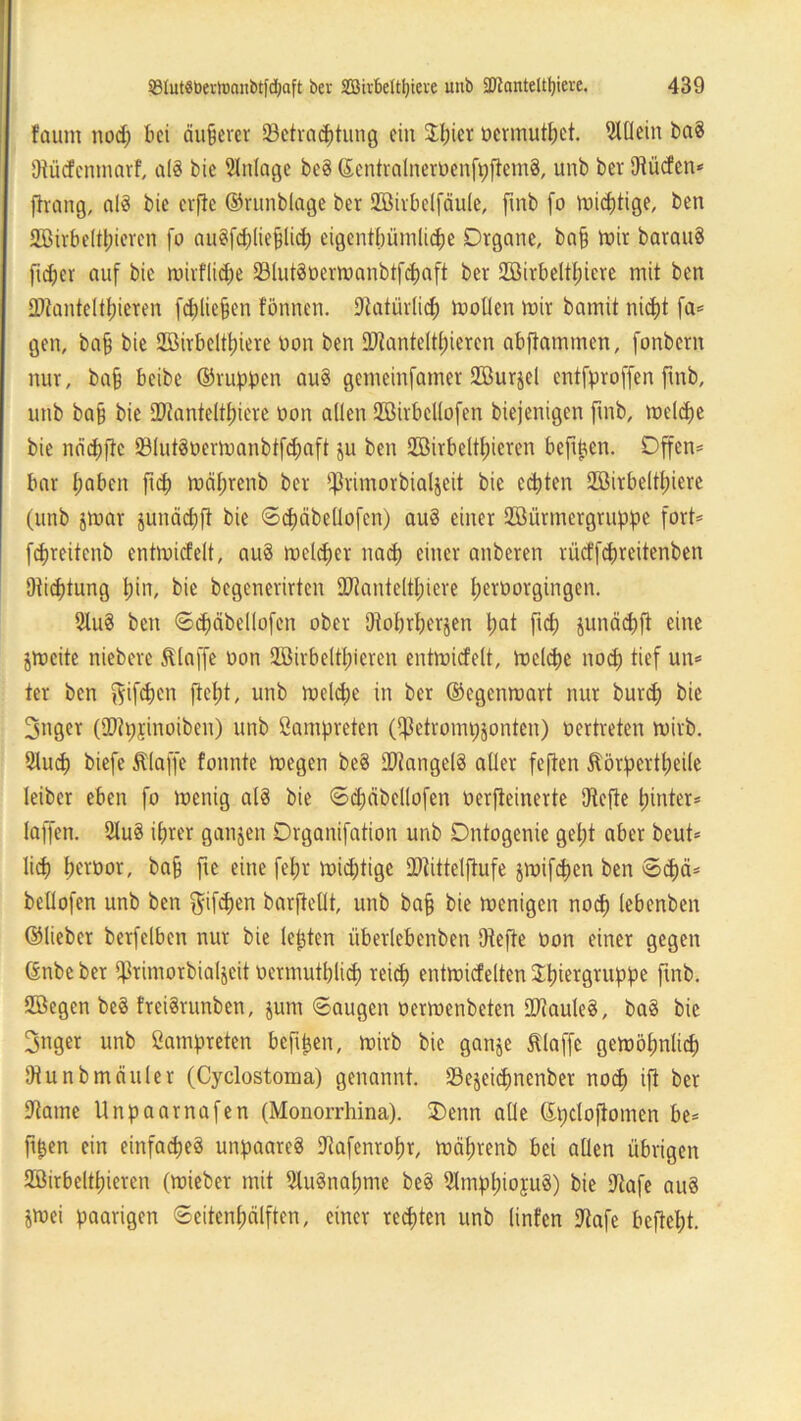 faurn nod; bei äußerer ^Betrachtung ein 3d;ier »ermüdet, ^lüein ba$ Dtücfentnarf, al§ bte Anlage be§ ©entralnertienfpftemS, unb ber Utüdcn* ftrang, alS bie erfte ©runblage ber SSHrbelfäule, fmb (o mieptige, ben 2ßirbeltl;iercn fo au§fd;ließlid; eigentbümliche Organe, baf Vüir barauS fidjer auf bie mirflicpe SlutSüermanbtfcpaft ber Söirbeltlncre mit ben Hantel teeren fcfüicjjen tonnen. Dtatüriich mollen mir bamit nid)t fa* gen, bafj bte Höirbeltpiere non ben Uftanteltfneren abftammen, fonbern nur, baß beibe ©ruppen au$ gemeinfatner 2Burjcl entfproffen ftnb, unb baff bie SWanteltfnere non allen Sffiirbcllofen biejenigen ftnb, melcpe bie neiepfte 23lut3oermanbtfd;)aft ju ben Uöirbeltpieren beftpen. Offen* bar haben ftep mäprenb ber iflrimorbialjeit bie echten SZßirbeltpierc (unb jmar §unäd;ft bie ©cpcibellofen) au§ einer JBürmergruppe fort* fcpreitcnb entmidelt, au§ mclcper naep einer anberen rüdfepreitenben Dticptung hin, bie begenerirten 9J?antclthiere pertiorgingen. 2Iu3 ben ©cpcibellofcn ober Dtobrperjen pat ftep junächft eine jmcite nieberc Stlaffe oon 2öirbcltpieren entmidelt, melthe nod; tief un* ter ben ftifepen fiept, unb me(d;e in ber ©egenmart nur burd; bie Snger CDipjinoiben) unb ßampreten (ifktrompäonten) tiertreten mirb. 21ucp biefe klaffe tonnte megen beS Mangels aller feften ^örpertpeile leiber eben fo menig als bie ©djäbellofen tierfteinerte Dtefte hinter* taffen. 2luS ihrer ganzen Drganifation unb Dntogenie geht aber beut* lieh hertior, baf fte eine fepr muptige £Dtütelftufe jmif^en ben €>d)ä* bellofen unb ben gifepen barftellt, unb baff bie menigen noep lebenben ©lieber berfelbcn nur bie lebten überlebenben Dtefie tion einer gegen ©nbe ber ^rimorbialjcit oermutplicp reich entmidelten Spiergruppe fmb. Söegen beS freiSrunben, jurn ©äugen oermenbeten intauleS, baS bie 3nger unb ßampreten beftpen, mirb bie ganje klaffe gemöpnlicp Dtunbmäuler (Cyclostoma) genannt. Öejeicpnenber noep ifi ber Staute Unpaarnafen (Monorrhina). 2)enn alle ©pclofiomcn be* ftpen ein einfaches unpaareS Stafenropr, mäprenb bei allen übrigen 2Birbeltpieren (mieber mit ßluSnapnte beS 21mppiojuS) bie 9iafe aus jmei paarigen ©eitenpälften, einer rechten unb linfen Stafe bejtept.