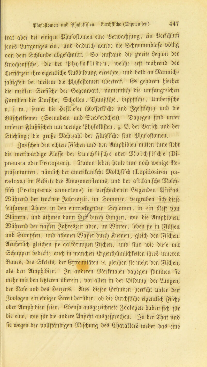 $t)l)fofiomen unb <pf)pfof(iften. ?nvd)fifci;e (®ipneuften). trat aber bei einigen $bpfoftomen eine 93erwad)fung, ein 93erfhlu§ jenes ßuftgangeS ein, unb baburd) würbe bie ©htoünmblafe uöllig non bem ©d;(unbe abgefefmürt. ©o cntftanb bie jweite ßegion ber $nohenfifd;e, bie ber ^Ijrjfoflifien, weihe erfl wäbrenb ber Sertiärjeit i£jre eigentliche 9lu§bilbung erreichte, unb halb an ÜKannih* faltigfeit bei weitem bie ipbbfotfomen übertraf. ©3 geboren t;icrl)cr bie meijten ©eefifhe ber ©egenwart, namentlih bie umfangreihen Familien ber 5Dorfhe, ©hollen, 3:t)unfifd;c, ßippfifdw, Umberftfhe u. f. ro., ferner bie £>eftfiefer (fofferftfhe unb 3gelfifhe) unb bie 23üfhelfiemer (©eenabeln unb ©eepferbhen). dagegen ftnb unter unferen $lu§fifhen nur wenige ^tjtjfof'liften, j. 93. ber 93arfh unb ber ©tihüng; bie grobe ÜRebrjabl ber ftlupfifhc ftnb ifhpfoftomen. ßtvifhen ben ehten ftifeben unb ben 91mpbibien mitten inne fietjt bie merfmiirbige klaffe ber ßurhftfhe ober Ü)tolhftfhe (Di- pneusta ober Protopteri). 3)anon leben beute nur ttod) wenige 9te= präfentanten, nämlih ber amerifanifhc ÜRolhfifh (Lepidosiren pa- radoxa) im ©ebiete be§ 9lmajonenfirom§, unb ber afrifanifhe äftolh* fifh (Protopterus annectens) in oerfhiebenen ©egenben SlfrifaS. Sööbrenb ber troefnen 3nbre8jeit, im ©ommer, tiergraben fth biefe feltfamen Spiere tu ben eintroduenben ©hlamm, in ein SNeft oon blättern, unb atbmen bann frgff butep ßungen, wie bie 9Impbibien. Sffiäbrenb ber naffen ^abreSjeit aber, imüöinter, leben fte in ftlüffen unb ©ümpfen, unb atbmen 95ßaffet burd; Kiemen, gleih ben ^ifdjen. 91eu§crlih gleidjcn fte aalförmigen $ifhen, unb ftnb wie biefe mit ©huppen bebeeft; aud) in manhen 6igentl;ümlihfeiten ibreS inneren 93aue3, beS ©fcletS, ber ©jtremitäten k. gleihen fte mel;r ben gifepen, al§ ben Amphibien. 3n anberen SDterfmalen bagegen ftimmen fie mehr mit ben festeren überein, oor allen in ber 23Ubung ber ßungen, ber Dtafe unb beS ^erjenS. 91uS biefen ©rüttben berrfht unter ben 3oologen ein ewiger ©treit barüber, ob bie ßurhftfhe eigentiih $tfd;e ober Amphibien feien. (Sbenfo ausgezeichnete ßoologen haben fth für bie eine, wie für bie anbere Slnftcpt auSgefprocpen. 3>t ber Spat ftnb fte wegen ber öoUftänbtgen SDtifhung beS ©parafterS Weber baS eine
