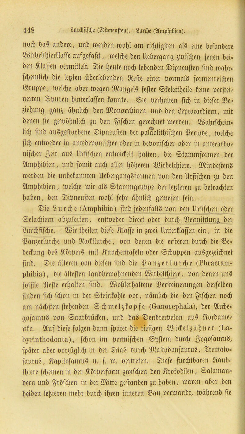 nod) ba§ anbere, unb derben mopl am riptigflen al§ eine befonbere Sirbeltpierflaffe aufgefapt, melpe ben Uebergaitg jmifpen jenen bei* ben klaffen Vermittelt. $)ie feilte nod; lebenben SDipneuften fmb mapr* fpeinlip bic lebten überlebenben IRejte einer normale formenreipen ©ruppe, melpe aber megen ViangelS fefter ©felettpeile feine üerftei= nerten ©puren pinterlaffen formte, ©ie tierpalten fiep in biefer Ve= jiepung ganj äpntid; ben SDtonorrpinen unb ben öeptocarbiern, mit benen fre gcmöpnlip ju ben $ifpcn gerechnet merben. Saprfpeim liep fmb auSgcftorbene ®ipneuften ber pa(a*olitpifd;en Vcriobe, melpe frep entmeber in antebetionifdfer ober in betionifdper ober in antecarbo* nifdjer 3eit an« Urftfpen cntmicfclt patten, bie ©tammformen ber Slmppibien, unb fornit aup aller pöperen Sirbeltpiere. VtinbeftenS merben bic unbefannten UebergangSformen von ben Urfifcpen ju ben SImppibien, mel<pe mir al« ©tammgruppe ber letzteren ju betrauten paben, ben Tupneuftcn mopl fepr äpnlicp gemefen fein. ®ie ühtrpe (Amphibia) fmb jebenfall« tion ben Urftfcpen ober ©elacpiern abjulciten, entmeber birect ober brtrep Vermittlung ber fiurpfifpe. Sir tpeilcn biefe Älaffc in jmei Unterflaffen ein, in bic Ißanjerlurpe unb Dtacftlurpe, tion benen bie elfteren burep bic Ve= beefung beä ÄörperS mit ftnodjentafeln ober ©cpuppen auSgejeipnet fmb. $)ic alteren tion biefen fmb bic $anjerlurd)e (Phractam- phibia), bic cilteften lanbbemopnenben Sirbeltpiere, tion benen un§ fofftle Otefte erpalten finb. Soplerpaltenc Verfeinerungen berfclbcn ftnben fiep fpon in ber ©tcinfoplc tior, nämlip bic ben $ifd;en nop am näpften ftepenben ©drmeljföpfe (Ganocephala), ber 9lrpe= gofauruS tion ©aarbrüefen, unb ba§ SDcnbrcrpcton au8 Vorbame* rifa. 5luf biefe folgen bann fpäter bie riefigen Stcfcljäpncr (La- byrinthodonta), fd)on im permifpen ©pftem burp ßpgofgurug, fpäter aber tiorjügltp in ber $ria§ burp VtaftobonfauruS, Iremato* fauru§, ft'apitofauruS u. f. m. tiertreten. üDiefc furptbaren 9iaub= tpiere fd;einen in ber 5törperform jmifd)cn ben Ärofobilen, ©alaman» bent unb $röfd)en in ber SDtitte gejtanben ju paben, maren aber ben beiben lepteren mepr burp ipren inneren Vau tiermanbt, mäprenb fte