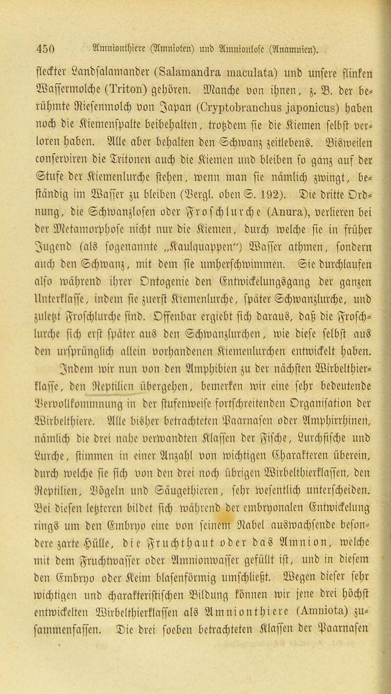 flecftcr ßanbfalamanbet (Salamandra maculata) unb unfeve flinfen 2Baffermold)e (Triton) geboren. (Dianche non ihnen, j. SB. bet be* rühmte Otiefenmold) non 3apan (Cryptobranchus japonicus) hoben noch bie Kiemenfpalte beibehalten, trojjbem fie bie Kiemen felbjt Der* loren haben. Ulüc aber behalten ben ©chmanj zeitlebens. 33iSmei(ert conferoiren bie Tritonen and) bie Kiemen unb bleiben fo ganj auf ber Stufe ber Kiemenlurd)e flehen, menn man fie nämlich swingt, be= fiänbig im Uöaffer $u bleiben (USergl. oben©. 192). ®ic britte Drb* nung, bie ©chmanjlofen ober $ r o f cf) l u r d) e (Anura), verlieren bei ber ÜRetmnorphofc ni<ä)t nur bie Kiemen, bitrd; mclchc fee in früher 3ugenb (als fogenannte „Kaulquappen) UBaffer athmen, fonbern and) ben©d)manj, mit bent fie umherfdpuimmen. ©ie burd)(aufen alfo mährenb ihrer Dntogenic ben (EntmicfelungSgang ber ganjen llnterflaffe, inbem fie juerft Kiemenlurche, fpäter ©d)manjlurd)e, unb juletit ffrofd)lurd)e finb. Offenbar ergiebt fiel; barauS, baf bie $rofch= lurdjc fid) erft fpäter auS ben ©djtt>anjlurd)&n, nüe biefe felbjt auS ben urfprünglid; allein oorhanbenen Kicmenlurchen entmicfelt haben. 3'nbem mir nun oon ben Ulmphibien ju ber nächften UBirbeltfuer* flaffc, ben (Reptilien übergehen, bemerfen mir eine fcl;r bebeutenbe Uleröollfommnung in ber jtufenmeifc fortfehreitenben Drganifation ber UBirbelffjiere. Ul Ke bisher betrachteten (Raarnafcn ober Ulmphirrhinen, nämlich bie brei nahe oermanbten Klaffen ber $ifcbe, ßurd)fifd)C unb öurdfje, ftimmen in einer Ulnjal;l oon mid)tigen (Eharaftercn überein, burd) meldjc fie fid) oon ben brei noch übrigen Uöirbelthierflaffen, ben (Reptilien, 93ögeln unb Säugetieren, fefjr mefentlid) unterfd)eiben. U3ei biefen leptcren hübet fid; mährenb ber embryonalen (Entmidfclung ringö um ben (Embryo eine oon feinem üRabel auSmadpfenbe befon* berc jarte grille, bie $Tud)tf)aut ober baS Ulmnion, melchc mit bem $rud)tmaffer ober Ulmnionmaffer gefüllt tfi, unb in biefem ben (Embryo ober Keim blafcnförmig umfchliefjt. UBegen biefer felpr mistigen unb d)arafteriftifd)en SBilbung tonnen mir jene brei fmdpfi entmicfelten UBirbclthicrflaffen als Ulmniontl;ierc (Amniota) ju= fammenfaffen. SDie brei foeben betrachteten Klaffen ber fftaarnafen