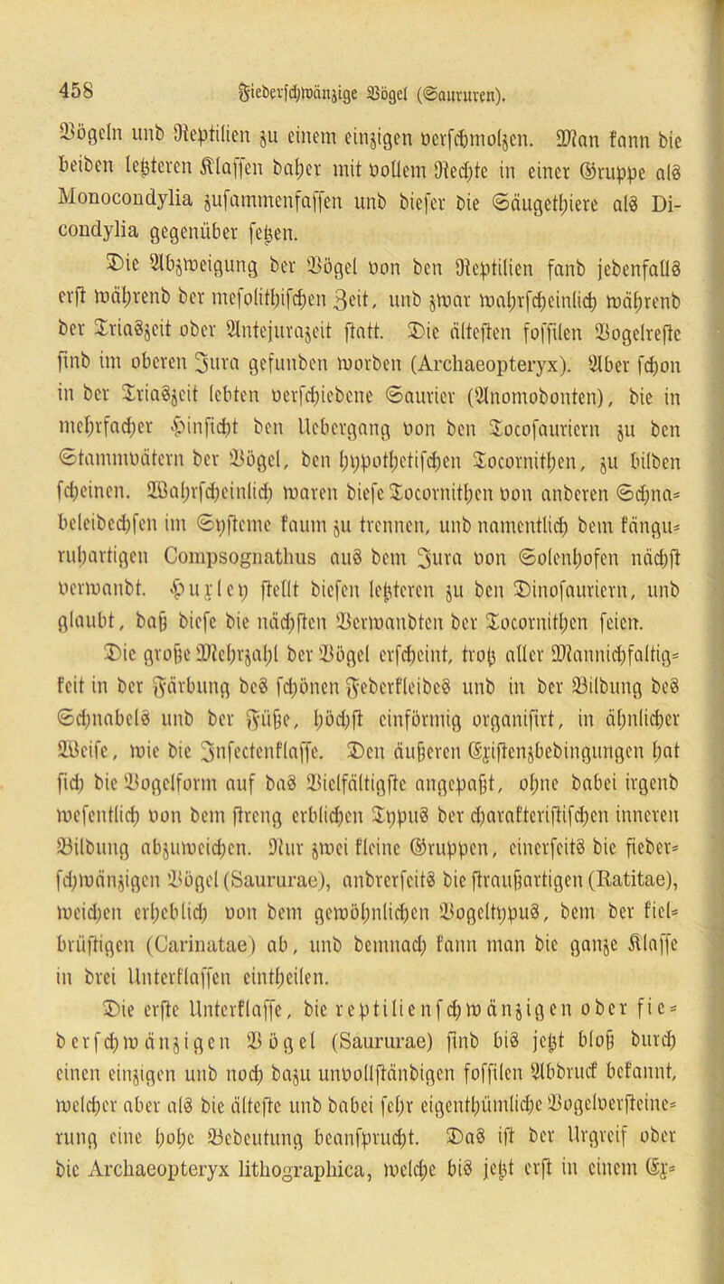 Sögeln unb Oieptilicn ju einem einigen öerfcpmoljen. Stan fann bie beiben letzteren Älaffen balper mit oollem 9ted)te in einer ©ruppe atö Monocondylia jufammenfaffen unb biefer bie ©äugefpiere alä Di- condylia gegenüber fepen. T)ic Sbjmeigung ber Sögel non ben Scptilien fanb [ebenfalls erfi mäp.renb ber mefolitpifdjen 3eit, unb jmar maprfdteinlicp mäprenb ber Sriaäjeit ober Slntejurajeit ftatt. 2)ic ä(teilen foffüen Sogelrefie pnb im oberen 3ura gefunben morben (Archaeopteryx). Sber fepon in ber SriaSjeit lebten üerfepiebene ©aurier (Ülnomobonten), bie in mcprfad)cr <£>inft<pt ben llebcrgang non ben Socofauriern ju ben ©tamnnurtern ber Sögel, ben pppotpetifepen Soeornitpen, ju bilben fepeinen. UBaprfcpeinlicp maren biefc Jocornitpen non anberen ©d;na* beleibecpfen im ©pftemc fauin ju trennen, unb namcntlicp bem feingu* rupartigen Compsognatlms au§ bem 3ura non ©olenpofen näcpfl nennanbt. -£>u r 1 e p [teilt biefen leideren ju ben 3)inofauriern, unb glaubt, bap biefc bie näd)(lcn Scrmaubten ber SEocornitpcn feien. 3>ie grope Steprjapl ber Sögel erfcpcint, trop aller fbtannicpfaltig* feit in ber geirbung bc$ fd;önen $eberfleibe§ unb in ber Silbung be§ ©dpmbelö unb ber $üpe, pöd)ft einförmig organifirt, in äpitlicper Skife, mie bie ^nfectenflaffe. SDcn äuperen ©i'iftenjbebingungcn pat fid; bieSogelform auf baS Siclfältigfle angepapt, opne babei irgeub mefeutlicp non bem ftreng erblicpen $ppu§ ber d;arattcriftifd;en inneren Silbung abjumeidjen. Sur jmei Heine ©nippen, cinerfeitS bie ficbcr* fdpnänjigen Sögel (Saururae), anbrerfcitS bie flraupartigen (Eatitae), meiden erpeblid; non bem gemöpnlicpcn Sogcltppud, bem ber fiel* brüftigen (Carinatae) ab, unb bemnad) fann man bie ganje klaffe in brei Unterflaffen eintpeilen. £>ie erfte Unterflaffc, bie r e p ti li e n f d) m & n j i g e n ober fi c * b e r f d) m ä n j i g c n Sögel (Saururae) fmb biä jept blop burd) einen einzigen unb nod) baju unnollftänbigen foffilen Sbbrucf befannt, tneld;er aber al8 bie ältefte unb babei fepr eigentpümlicpe Sogelnerfteine* rung eine popc Sebeutung beanfpruept. 3)a§ ift ber Urgreif ober bie Archaeopteryx lithographica, melcpe bi§ jept erfl in einem