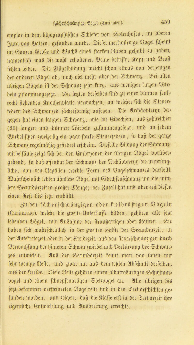 emplar in bem litßograpßifdßen Scßiefer non Solenßofen, im oberen 3ura non SÖaiern, gefunben mürbe, tiefer merfmürbige Sogei feßeint im ©anjen ©röße unb 2Bud;g eines fiarfen (Haben gehabt ju haben, namentlich mag bie mofjl erhaltenen Seine betrifft; Kopf unb Sruji fehlen leiber. £>ie ftlügelbübung meießt feßon etmag non berjenigen ber anberen Sögel ab, noch oiel mehr aber ber Scßmanj. Sei allen übrigen Sögeln ift ber Scßmans fehr furj, aug menigen furjen 2öir* beln jufammengefept. $)ie lebten berfelbcn fmb ju einer bünnen fenf* reeßt ftehenben Knocßenplatte oermaeßfen, an melcßer fteß bie Steuer* febern beg Scßmanjcg fächerförmig anfepen. £>ie mrcßäopterßj ba* gegen ßat einen langen Scßmanj, mie bie ©ibeeßfen, aug zahlreichen (20) langen unb bünnen Sßirbeln jufammengefept, unb an febern QBirbel fipen jmeijeilig ein paar flarfe Steuerfebern, fo baß ber ganje Scßmanj regelmäßig gefiebert erfeßeint. (Diefelbe Sübung ber Scßmanj* mirbelfäule zeigt fieß bei ben ©mbrponen ber übrigen Sögel worüber* geßenb, fo baß offenbar ber Scßmanj ber iilrcßäopterpj bie urfprüng* ließe, oon ben (Reptilien ererbte §orm beg Sogelfcßmanjeg barftellt. üöaßrfcßeinlicß lebten äßnlicße Sögel mit ©ibedpenfeßmanj um bie mitt* lere Secunbärjeit in großer Stenge; ber 3ufall ßot ung o&et erft bie)en einen (Heft big jept enthüllt. 3u ben fäcßerfcßmänjigen ober fielbrüftigen Sögeln (Carinatae), melcße bie jmeite Unterflaffe bilben, gehören alle jept lebenben Sögel, mit Sugaßme ber ftraußartigen ober SHatiten. Sie haben fuß maßrfeßeinlid) in ber jmeiten fpälfte ber Secunbärjeit, in ber 3lntefretajeit ober in berKreibejeit, aug ben fieberfeßmänjigen bureß Sermacßfung ber hinteren Scßmanjmirbel unb Serfürjung bcgSdjman* jeg entmicfelt. 5lug ber Secunbärjeit fennt man oon ißnen nur feßr menige (Hefte, unb jmar nur aug bem lepten Sbfcßnitt berfelben, aug ber Kreibe. (Diefe (Hefte gehören einem albatrogartigen Scßmimm* oogel unb einem feßnepfenartigen Steljoogel an. SUe übrigen big jept befannten oerjteinertcn Sogelrefte ftnb in ben Jerticirfcßicßten ge* funben morben, unb zeigen, baß bie Klaffe erft in ber Jertiärjeit ißre eigentliche (Sntmicfelung unb (Hugbreitung erreichte.