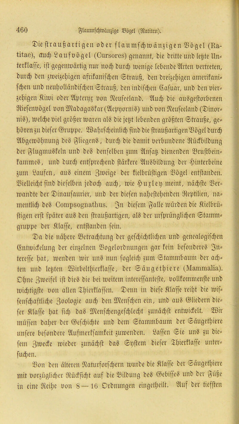 ®ie ftraußartigen ober flaumfcßwänsigenSögel (Ra- titae), ctucß ßaufoögel (Cursores) genannt, bie brüte unb (e^te Un= terf(a)|e, ift gegenwärtig nur nod) burd) wenige lebenbe 9lrten oertreten, burd) bcn jweijeßigcn afrifanifcßen Strauß, ben breijcßigen amerifani* fd)en unb neußollänbifeßen Strauß, ben inbifd;en ©afuar, unb bcn oier* Seligen Wwi ober Slpterpj: oon Scufeelanb. 91ud) bie auSgeftorbenen Otiefenoögel oon 2Jtabaga§far (2lepporni8) unb oon SKeufcelanb (35inor* ni§), welche oiel größer waren al§ bie jejjt lebenben größten Strauße, ge* ßörcnp biefer ©nippe. Sßaßrfd)cinlid) ftnb bie flraußartigen Sögel burd) Slbgewößnung be§ $(iegen8, burd) bie bamit oerbunbcne ütücfbilbung ber $lugmu§feln unb be8 benfelben pm Ölnfap bienenben Srufibein* t'ammcS, unb burd) entfprcdjenb ftärfcrc 9Iu§bilbung ber Hinterbeine pm Saufen, au§ einem 3^cige ber fielbrüftigcn Sögel cntftanbcn. Siclleicßt finb bicfelbcn jcbod) and), wie Huflcp meint, näeßfte Sen wanbtc ber SDinaufaurier, unb ber biefen nal)cftcl)cnben (Reptilien, na* mentlid) bcö Compsognathus. 3n biefem $a(lc würben bie Welbrü* ftigen erft fpäter au8 ben ftraußartigen, al§ ber urfprünglid)cn Stamm* gruppe ber klaffe, cntftanbcn fein. SDa bie nähere ^Betrachtung ber gefd)id)tlid)cn unb genealogifeßen ©ntwiefetung ber einzelnen Sogelorbnungen gar fein befonbereö 3m* tereffe ßat, wenben wir un8 nun fogleid) pm Stammbaum ber ad)* ten unb lepten Sßirbeltßierflaffe, ber ©äugetßiere (Mammalia). Dßne 3weifel ift bieö bie bei weitem intereffanteftc, oollfommenfte unb wid)tigfte oon allen Sßierf(affen. SDenn in biefe klaffe reißt bie wif* fenfcßaftlidjc 3oologie nueß ben BRenfcßen ein, unb au8 ©liebem bie* fer Waffe ßat fid) ba3 ORenfcßengefcßlecßt pnäd)ft entwicfelt. SBir muffen baßer ber ©efd)id)tc unb bem Stammbaum ber ©äugetßiere unfere befonbere 21ufmerffamfeit pwenben. ßaffen Sie un§ p bie* fern 3tt>cefe wieber pnäcßft ba8 Spfiem biejer Jßierflaffe unter* fueßen. Son ben älteren Saturforfd)ern würbe bie Waffe ber ©äugetßiere mit üorjüglicßer Oiücfficßt auf bie Silbung bc§ ©ebiffeS unb ber $iißc in eine Oieißc oon 8—16 Drbnungcn eingetßcilt. Suf ber tiefften