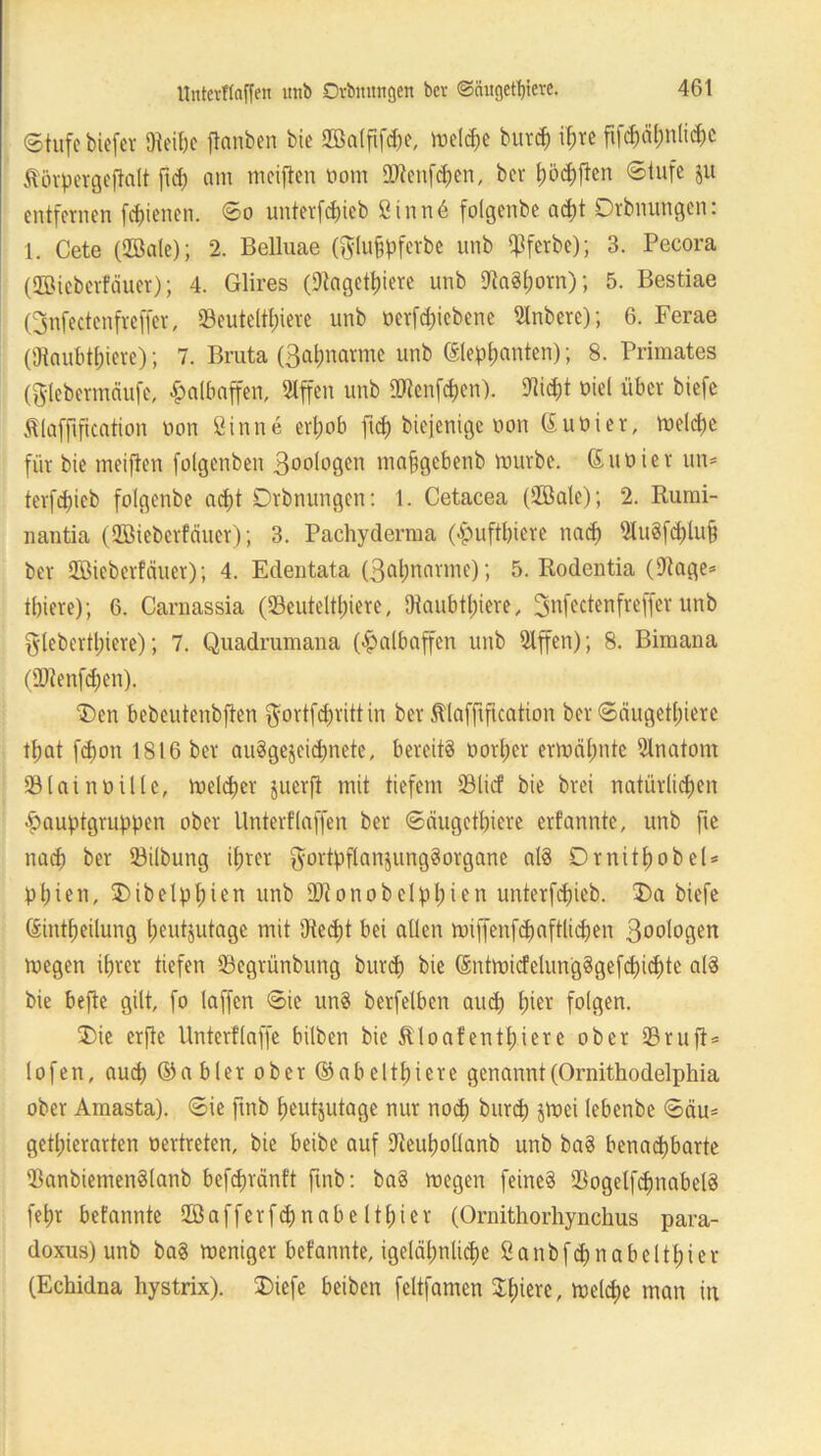 ©tufebiefer SReibe ftoriben bie SZÖatfifche, melcbe burd) if;re fifd)äbnltd)C ^örpergeftalt ftd) am meiflen oom 9Jtenfd)en, bei* böcbften ©tufe ju entfernen [ebenen, ©o unterfd)ieb Stnnd folgenbe ad)t Drbnungen: 1. Cete (2öale); 2. Belluae (fyluhpferbe unb $ferbe); 3. Pecora (Uöteberfäuer); 4. Glires (9tagctt)iere unb UtaSborn); 5. Bestiae (Bnfectenfreffer, Seuteltl;ieve unb oerfd)icbenc 2lnbere); 6. Ferae (Otaubtfjieve); 7. Bruta (Batjnarme unb ©lepbmiten); 8. Primates (ftlebermäufe, Halbaffen, 2lffen unb tötenden). 9tid)t nie! über biefe filafftfication non Sinne erhob ftd) biefenige non ©uüier, meld)c für bie tneifien folgcnben Biologen maftgebenb mürbe. (Suüier um terfd)icb folgenbe acht Drbnungen: 1. Cetacea (2öale); 2. Rurai- nantia (QBiebcrfciuer); 3. Pachyderma (£uftl)iere naef) 91uSfd)luf5 ber 2Bieber!äuer); 4. Edentata (3at)nnrme); 5. Rodentia (Dtage* tbiere); 6. Carnassia (33euteltt)iere, Otaubtljiere, Bnfectenfreffer unb glebertt)iere); 7. Quadrumana (Halbaffen unb 9lffen); 8. Bimana (ÜRenfcben). Den bebeutenbften $ortfd)rittin ber Älafftficatton ber ©nugetfjiere tbat fd)on 1816 ber ausgezeichnete, bereits oorl;cr ermähnte Anatom Slatnütlle, melc^er juerft mit tiefem 23licf bie brei natürlichen hauptgruppen ober Unterflaffen ber ©äugetbiere erfannte, unb |ie nach ber 23ilbung ihrer $ortpflanzungSorgane als Dr nithobel* übten, Dibelphten unb üftonobeichten unterfdjieb. Da biefe (Sintbeilung heutzutage mit 9ted)t bei allen miffenfdmftlichen Boologen megen ihrer tiefen 53egrünbung burd) bie ©ntmicfelun'gSgefchichte als bie befte gilt, fo laffen ©ie unS berfelbcn aud) hier folgen. Die erfte Unterflaffe bilben bie floaten tbiere ober 23 ruft* lofen, auch ©abler ober ©abelthiere genannt(Ornithodelphia ober Arnasta). ©ie ftnb heutzutage nur noch burd) zmei lebenbe ©am getl;ierarten oertreten, bie beibe auf Uteuhollanb unb baS benachbarte ißanbiemenSlanb befd>ränft ftnb: baS megen feines 23ogelfdmabetS febr befatmte 2öafferfd)nabe Itbier (Ornithorhynchus para- doxus) unb baS meniger befannte, igeläbnlicbc Sanbfdjnabelthier (Echidna hystrix). Diefe beiben fcltfamcn 3:i;ierc, meldte man in