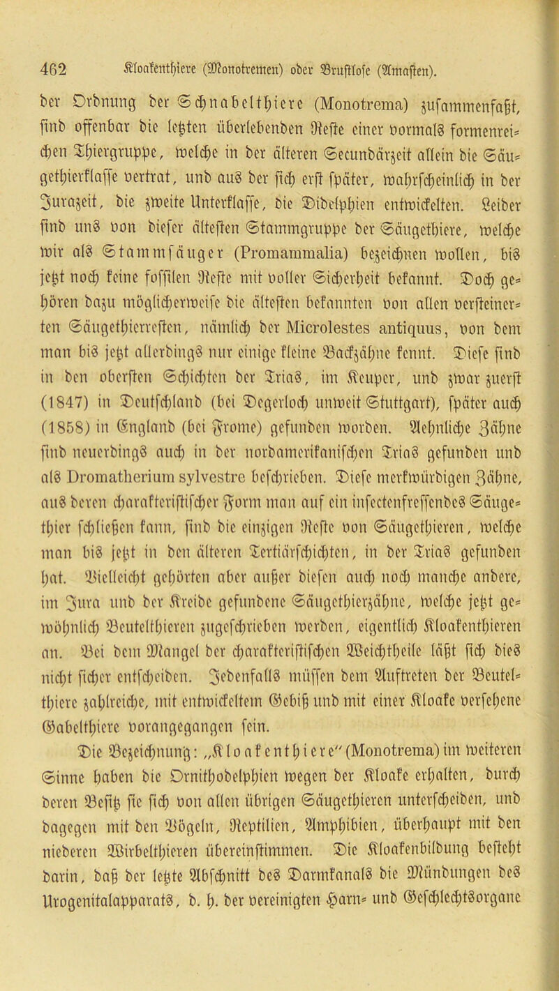 ber Drbnung fccr © <pn ab et tpi er c (Monotrema) jufammcnfa§t, fmb offenbar bie testen übertebenben jRefte einer normats formenreu eben Spiergruppe, metepe in ber älteren ©ecunbärjeit allein bic ©äu* getpierflaffe oertrat, unb auS ber frcf> erft fpäter, maprfcpeinlicp in ber 3«tajeit, bie jmeite Unterflaffe, bie ©ibrippien entmicfelten. Seiber fmb unS non biefer älteften ©tammgruppe ber ©äugetpiere, melcpe mir a(8 ©tammfäuger (Promammalia) bezeichnen motlen, bis jept noep feine foffden Otcftc mit notier ©ieperpeit befannt. Socp ge* pören baju möglicpermeife bie älteften befannten non allen nerfteiner* ten ©äugetpierreften, nämlicp ber Microlestes antiquus, non benr man bis jept aüerbingS nur einige fleinc öaeffläpue fennt. Sicfe fnb in ben obcrjten ©epiepten ber SriaS, im Keuper, unb jmar juerjt (1847) in SDeutfcf)(anb (bei ©cgcrlod) unmeit ©tuttgart), fpäter auep (1858) in (Snglanb (bei fyrome) gefunben morben. Slepnlicpe 3öl)ne ftnb ncucrbingS and) in ber norbamerifanifepen SriaS gefunben unb alS Dromatherium sylvestre befdprieben. £>iefc mevfmürbigen 3üpne, auS bereu d)arafteriftifcf;er $orm man auf ein infectenfreffenbcS ©äuge* tpier fdpliepen fann, fmb bic einzigen iUefte non ©äugetpieren, metepe man bis jept in ben älteren Serfiörfcpicptcn, in ber SriaS gefunben l;at. 53ietleid)t gebürten aber aufjer biefen and; nod) manche anbere, im fyura unb ber .treibe gefunbene ©äugetpierjäpne, metepe jept ge* möpnticp SBeuteltpieren jugcfdjriebcn merben, cigenttid) tloafentpieren an. SBei betn SOZangcl ber ct;arafteriftifd;cn SEßeicptpeile (äfft ftd; bieS niept fid)er entfd;cibcn. ^ebenfalls müffen bem Auftreten ber 23eute(* tpierc japlreicpc, mit entmiefettem ©ebif unb mit einer tloafc nerfepene ©abeltpierc norangegangen fein. ®ie 33ejeid)iumg: „t t o a f e n t p i e r e (Monotrema) im meiteren ©inne haben bie Drnitpobelppien megen ber ttoafe erp alten, burep bereu töejlp fte fiep non allen übrigen ©äugetpieren unterfepeiben, unb bagegen mit ben Mogeln, Oteptiticn, Slmppibien, überhaupt mit ben nieberen ÜZÖirbeltpieren übcreinjtimmen. ®ie tloäfenbilbung beftept barin, bap ber lepte Stbfdpütt bcS 3)armfana(S bie IDtünbungen beS UrogenitatapparatS, b. p. ber nereinigten <§>arn* unb ©cfd)(ed)tSorganc
