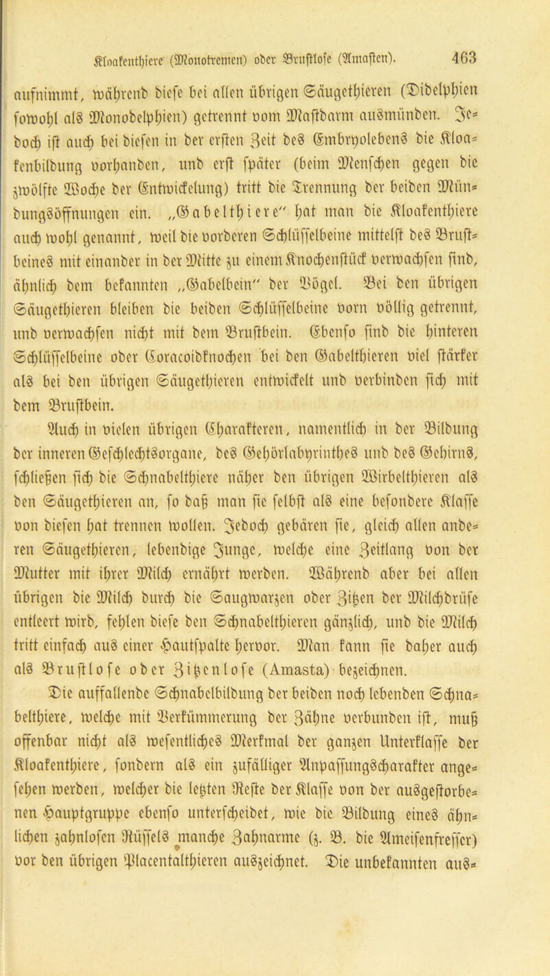 aufnimmt, mätjvcnb biefe bei allen übrigen Säugetieren (SMbetyicn fomol;l al§ fDtonobelpien) getrennt oom »taftbarm auSmünben. 3e= bod) ijt auch bei biefen in ber erften 3«t beS ©mbrtmlebenS bie Äloa* fenbilbung oorhanben, unb crft fpäter (beim »tenfhen gegen bic jmölfte SBocbe ber ©ntmicfelung) tritt bie Trennung ber beiben »tün* bungSüffmmgcn ein. „® abelthi er e l;at man bie $loafentt)iere and) moi genannt, meü bie oorberen Schlüffelbeinc mittelft beS »ruft* beineS mit cinanber in beriDiitte ju einem ftnochenftücf oermacbfen futb, ähnlich bem befannten „(Sabelbein ber »ögcl. »ei ben übrigen Säugetieren bleiben bie beiben ©düüffelbeine oorn oöllig getrennt, unb oermacbfen nid)t mit bem »ruflbcin. ßbenfo ftnb bie hinteren Schlüffelbeinc ober ©oracoibfnochen bei ben ©abeltieren Diel jtärfer als bei ben übrigen Säugetieren entmiefelt unb oerbinben fid) mit bem »ruftbein. 5Iud) in Dielen übrigen (Sljarafteren, namentlich in ber »ilbung ber inneren @efd)lccbtSorgane, beS ©el)örlabt)rintbeS unb beS ©ebirnS, [diesen ficb bie Sdjnabelticre näher ben übrigen QBirbeltiercn als ben Säugetieren an, fo ba§ man ftc felbft als eine befonbere Älaffe oon biefen hat trennen mollen. Beboch gebären fie, glcicf) allen anbe» ren Säugetieren, lebenbige 3ungc, melche eine Beitlang Oon ber »tutter mit ihrer »tild) ernährt merben. t£öährenb aber bei allen übrigen bie »tild) burch bie Saugmarjen ober Bt^en ber »tildjbrüfe entleert mirb, fehlen biefe ben Schnabeltieren gänjlid;, unb bie »tild) tritt einfach auS einer $autfpaltc iroor. »tan fann fie bafjer auch als »rujtlofe ober 3'benlofe (Amasta)-bezeichnen. 3)ie auffallenbe Sdmabclbilbung ber beiben noch lebenben Schna* beltiere, melche mit »erfümmerung ber 3ä!;ne oerbunben ift, mu§ offenbar nicht als mefentlicheS »terftnal ber ganjen Untertlaffe ber Äloafenthiere, fonbern als ein zufälliger SlnpaffungScharafter ange* fein merben, melcher bie (eteten Otefte ber klaffe oon ber auSgeftorbe* nen -önuptgruppe ebenfo unterfheibet, mie bie »ilbung eines ähn* liehen zalmlofcn DtiiffelS manche Bahnarme (j. ». bic Slmcifenfreffer) oor ben übrigen ifllacentalthieren auSjeichnet. 3)ie unbetannten auS*
