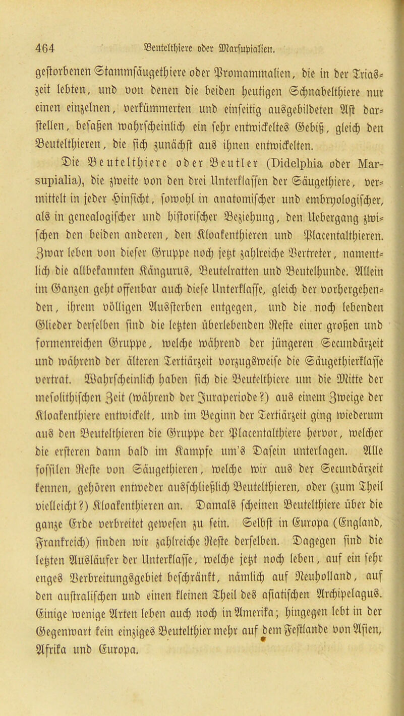 geworbenen ©tammfäugethiere ober ipromammalien, bie in ber £ria§* Seit lebten, unb non benen bie beiben heutigen ©cpnabelthiere nur einen einzelnen, öerfümmerten unb einfeitig auggebilbeten 91W bar* Wellen, befaßen mahrfcpeinlid) ein fel;r entmicfelteä ©ebijj, gleich ben 93euteltl)ieren, bie W<h äunächW ctu§ ihnen entmidelten. 3)ie 93euteltl;ierc ober 53eutler (Didelphia ober Mar- supialia), bie jmeitc üon ben brei Unterflaffen ber ©äugetl)iere, oer* inittelt in jeber fpinWcbt, fomolW in anatouüfd)cr unb embrpologifcher, al3 in genealogifdjer unb I)iWorifd>er Sejicpung, ben Ucbergang jmi* fdjen ben beiben anberen, ben Stloafentpiercn unb WHacentaltpiercn. 3mar leben non biefer ©nippe nod) jept $al)lrcid)c Vertreter, nament* lidj bie allbefannten Stänguru§, 53eutclratten unb 23eutelf)unbe. Allein im ©anjen gel)t offenbar and; biefe Unterflaffe, gleich ber öorhergehen* ben, ihrem völligen SXuSWorben entgegen, unb bie nod) lebenben ©lieber berfelben Wnb bie lepten überlebcnbcn DteWe einer groben unb formenreichen ©nippe, meld)c mäprenb ber jüngeren ©ecunbärjeit unb mäl)tenb ber älteren Sertiärjeit imrjug§meife bie ©äugetl)ierf(affe vertrat. 2öal)rfd;cinlid? haben W<h bie Seutelthierc um bie Dritte ber mefolithifd)en ßc>t (mäprenb ber ^uraperiobe ?) au§ einem 3meige ber Stloafentpiere entmicfelt, unb im beginn ber £ertiär$eit ging mieberum au§ ben 23euteltl)ieren bie ©nippe ber ißlacentalthicre hcrüor, meldfer bie erWeren bann halb im Stampfe um’8 £>afcin unterlagen. 2lllc foffilen !)teWe oon ©äugetl)ieren, meld)C mir au8 ber ©ecunbärjeit fennen, gehören entmeber au3fd)ticfWid) 93eutelthiercn, ober (jum Speit oiclleid;!?) Stloafcntpieren an. ÜDatnalS fd)einen 93eutcltpierc über bie ganje ©rbc verbreitet gemefen ju fein. ©elbW in ©uropa (©nglanb, $ranfreidj) finben mir jahlreidje DleWe berfelben. dagegen Wnb bie lepten 5lu§läufer ber Unterflaffe, meldje jept nod) leben, auf ein fel;r engeä SBerbreitungSgebiet befchränft, nämlich auf Dtcupollanb, auf ben auftralifd)en unb einen fleincn Speil be§ nWatifd)en 2lrd)ipclagu§. (Einige menige ülrten leben and) noch inSlmerifa; hingegen lebt in ber ©egenmart fein einziges 93euteltpier nicpr auf bem$eW(anbc DonSlficn, Slfrifa unb ©uropa.