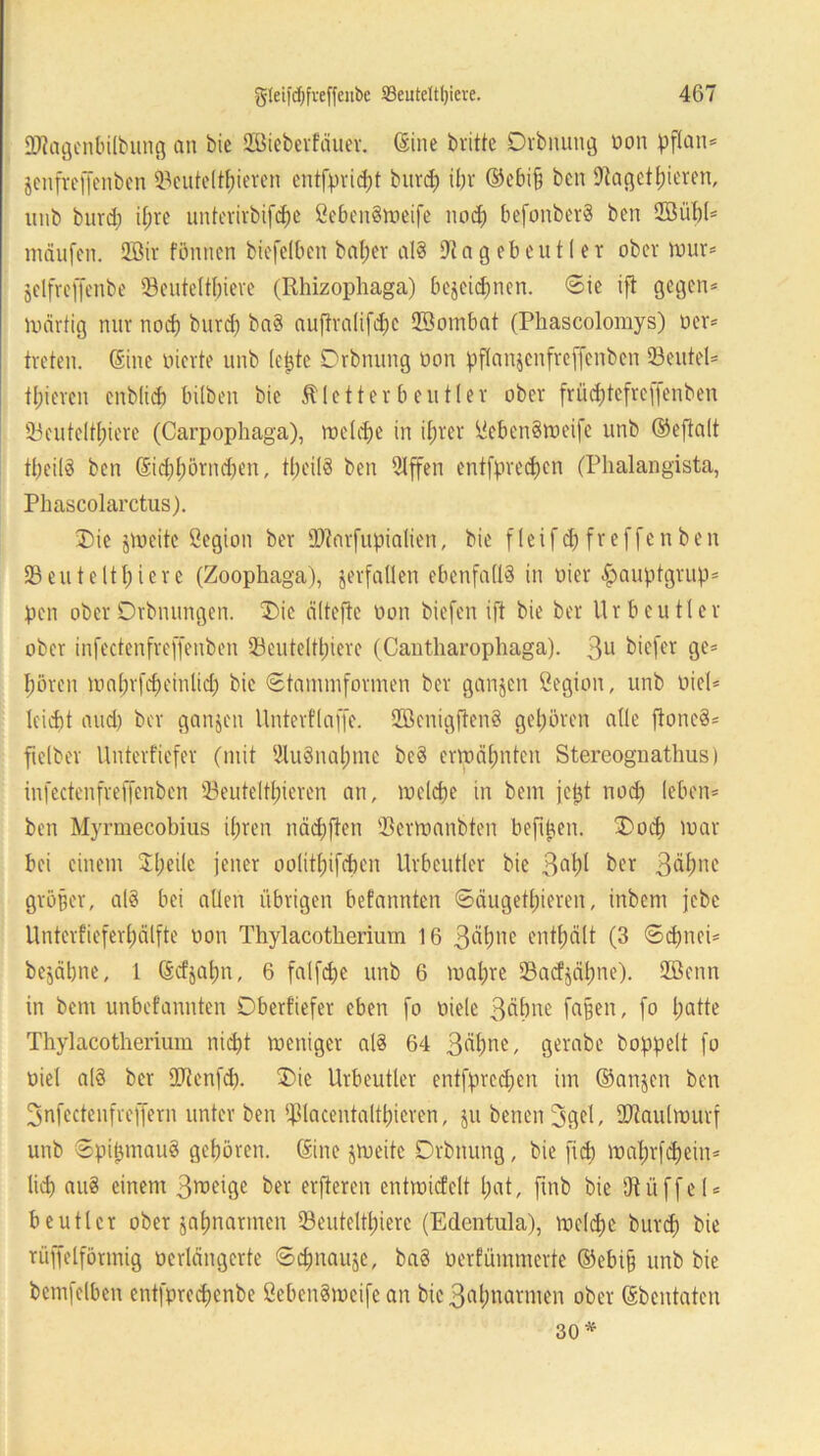 ÜDtogenbilbung an bie SBieberfäuer. Sine britte Drbnung üon pflan* jenfreffenben Beuteltieren entfprid;t buvd; ibr ©ebi§ bcn Bagetgieren, unb burd; ihre unterirbifebe ßebenSmeife noch befonberS bcn Sßübl* mäufen. 2Bir fönnen biefelben bat;er als Dtagebeutler ober mur* jclfrcffenbe Beuteltiere (Rhizophaga) bejeid)nen. Sie ift gegen* märtig nur nod) burdf baS au|iva(ifd;c SBombat (Phascolomys) oer* treten, ©ne liierte unb (eijte Drbnung öon pflan^cnfreffenben Beutel* teeren enblid) hüben bie Kletterbeutler ober früd)tefrc[(enben Beuteltiere (Carpophaga), roelc^e in ihrer ßebenSmeife unb ©eftalt tbcilS ben ©4prnd)en, tl;eilS ben 2lffen enifpredfen (Phalangista, Phascolarctus). 3)ie jmeitc ßegion ber Btnrfupialien, bie fleifd) freffenben Beuteltbiere (Zoophaga), jerfaüen ebenfalls in oicr £>auptgrup* pen ober Drbnungen. Die ältefte non biefen ift bie ber Ur beutle r ober infectenfreffenben Beuteltiere (Cantharophaga). 3U biefer ge* bören ma(;rfd;eintid; bie Stammformen ber ganjen öegion, unb oicl* leicht and) ber ganjen Unterflaffe. 2ßenig|ten8 gehören alle ftoneS* ftelber Unterfiefer (mit 9iuSnal;tne bcS ermähnten Stereognathus) infectenfreffenben Beuteltieren an, mclcbe in bem jetjt noch leben* ben Myrmecobius ihren nädfjien Bermanbten befi^en. Dmcb mar bei einem 2l;eile jener oolit(;ifd)en Uvbeutler bie 3ni ber 3äl;ne größer, als bei allen übrigen befannten Säugetieren, inbem jebe Unterfieferljälfte non Thylacotherium 16 3^i1c enthält (3 Schnei* bejäbne, 1 ©cfjabn, 6 falfd;e unb 6 mal;re Bacfjähne). 2ßenn in bcni unbefannten Dberfiefer eben fo oiele 3äbne faßen, fo l;atte Thylacotherium nicht meniger als 64 3‘^^e, gerabe hoppelt fo uiel al§ ber Bienfdp T)ie Urbeutler entfpredfen im ©an^en ben 3nfcctenfreffern unter ben Blacentaltbieren, jit benen 3gel, Btaulmurf unb SpüjtnauS gehören, ©ine jmeitc Drbnung, bie fid) mal;rfd)cin= lieb auS einem 3meige ber elfteren entmicfelt hat, ftnb bie Otiiffel* beutlet ober jabnarmen Beuteltbiere (Edentula), mclcbe bureb bie rüffelförmig oerlängerte Sdmauje, baS oerfümmerte ©ebifj unb bie bemfelben entfpreebenbe SebenSmcife an bic3«bimrmen ober ©bentaten 30 *