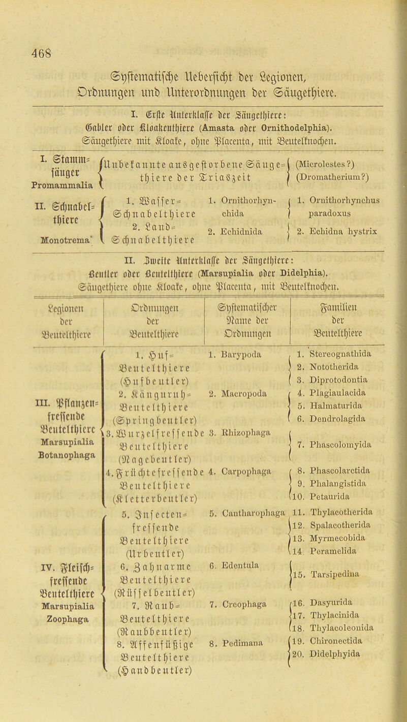 0i)[tematt(d)c Ucberftdjt bev Segionen, Drbnungen unb Untcrorbnungen bev Säugetiere. I. öErfTc Witlerklaße ber Srtiigefljicre: ©ablcr ober fUoakciltljicrc (Amasta ober Ornitbodelphia). ©ciugetljicre mit floate, oljite iplaccnta, mit 23eutelfitod)eit. i. @tamm= fäuger Promammalia K n. ©djimbcb | ttjicrc Monotrema' V Uubelauntc aitSgefiorbene ©ciuge= 11;ieve ber £ria§$eit l. 2Ba|fer = ©djnabcitljicre 2. Sani)« © d) it «fiel tl) iere 1. Ornitborbyii' chida 2. Ecliidnida (Microlestes?) (Dromatherium ?) 1. Ornitborbyncbus paradoxus 2. Echidna bystrix II. JUucile UittcrlUnffe ber Sniigcfljicvc: ßClltlcr ober ßeiilclfljierc (Marsupialia ober Didelphia). ©äugettyiere olpte floate, ol;nc 'piacciita, mit 23euteIfnod)cit. r'cgioitcu Drbnungen ©l)ftcmatifd)cr gamilictt ber ber Staute ber ber 33cutcltt)icre iöcntcltljicrc Orbnuugen 23cutclt()iere in. iff(aiijcii= freffeube Sentclttyicrc Marsupialia Botanopliaga 1. §uf = 1. Barypoda 53cittcltl)icrc (§111(10111101') 2. Äältgurul}= 2. Maeropoda 58euteltl) iere (Spring beut ler) »3.Surjelfreffenbe 3. Rliizophaga ©eutcltl)ier e (Siogebeutlcr) 4.grüd)tcfrcffeubc 4. Carpopbaga Sßeuteltl)iere (Kletterbeutler) IV. ftlcifd)= frcffcitbc $kntcltl)icrc ■ Marsupialia Zoophaga 5. Snfecten* frcffcitbc SBeute 111; iere (Urbcutlcr) G. 3al)narme 23eutcltl)iere (9iüffelbeutler) 7. 9taub* 83euteltl)iere (9taubbeutlcr) 8. SlffenfÜfftge S3 e 111 e 116 ie r e (§aubbeutler) 5. Cantharopliaga G. Edontula 7. Creopliaga 8. Pedimana 1. 2. 3. | 4. I 5> ( 6. ( 8> !9- (10. 11. Il2. j 13. (14 <16. <17. (18. (19. ] 20. Stereognatliida Nototberida Diprotodontia Plagiaulacida Halmaturida Dcndrolagida Phascolomyida Phascolarctida Phalaugistida Petuurida Thylacothei'ida Spalacotherida Myrmecobida Peramelida Tarsipediua Dasytirida Thylacinida Tbylaeoleonida Cbironectida Didelpbyida